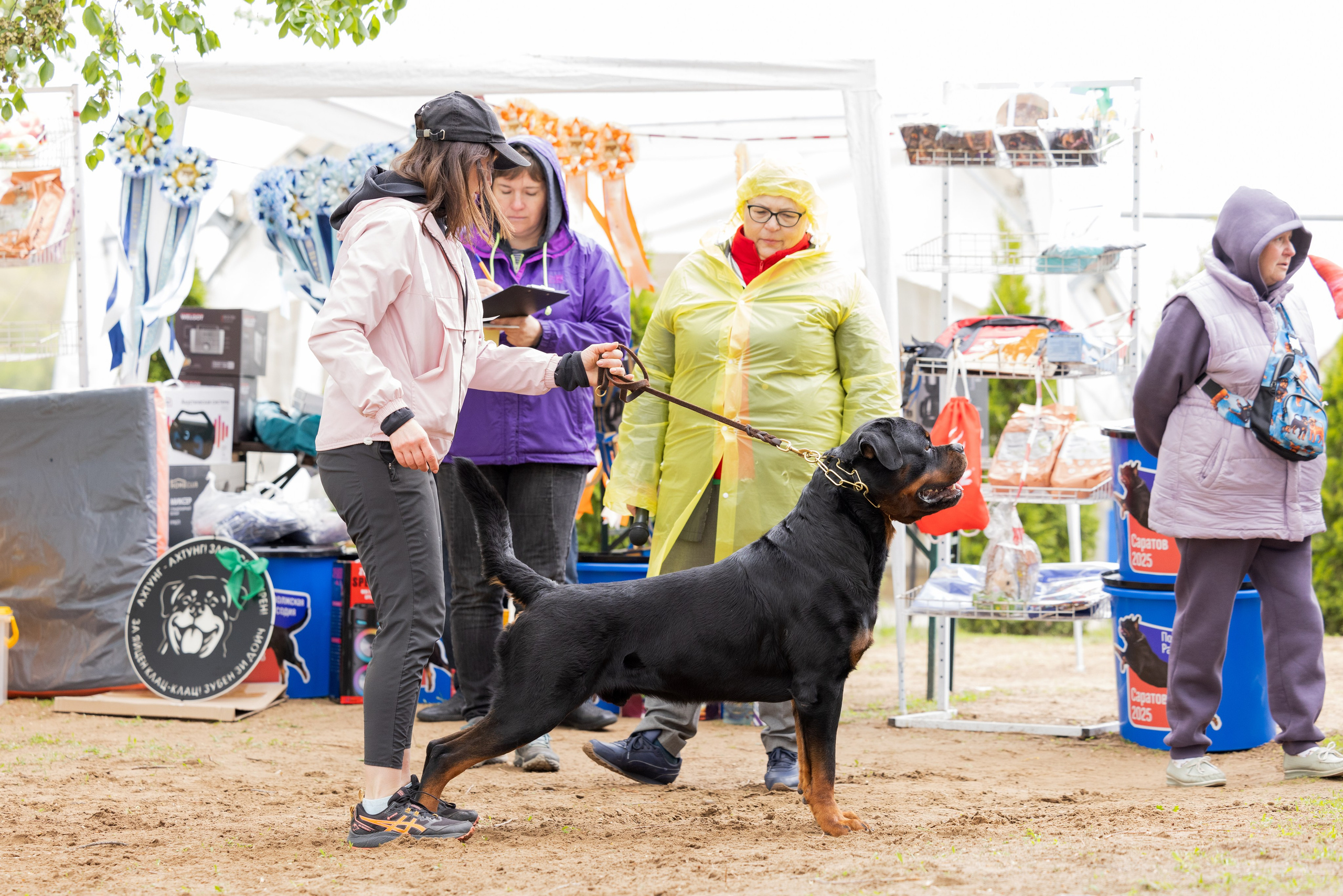 Саратов моно ротвейлеров 26-27.04.2025. Фотограф-анималист Юлия Германика