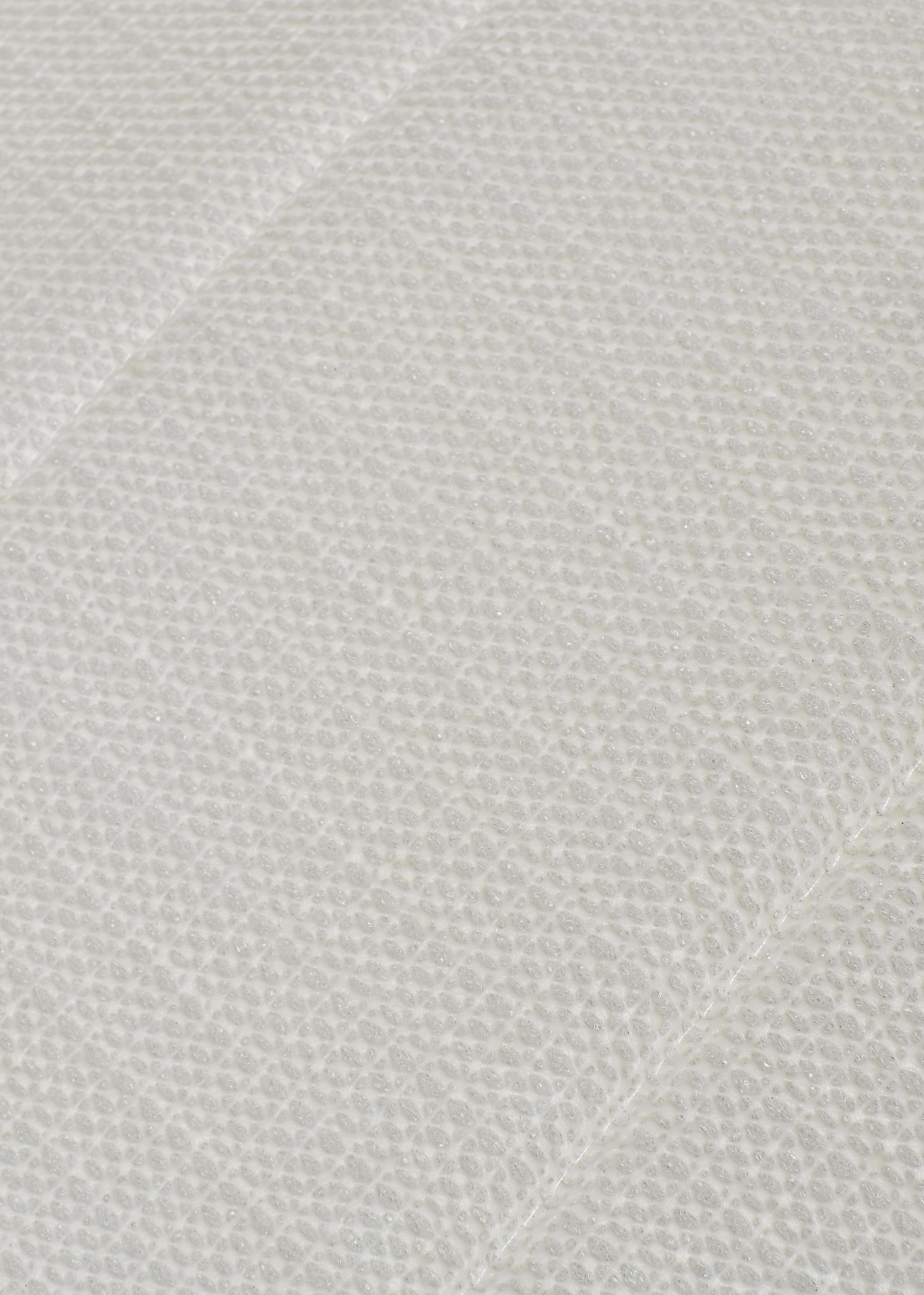 WB. Фотограф Наталья Гринько