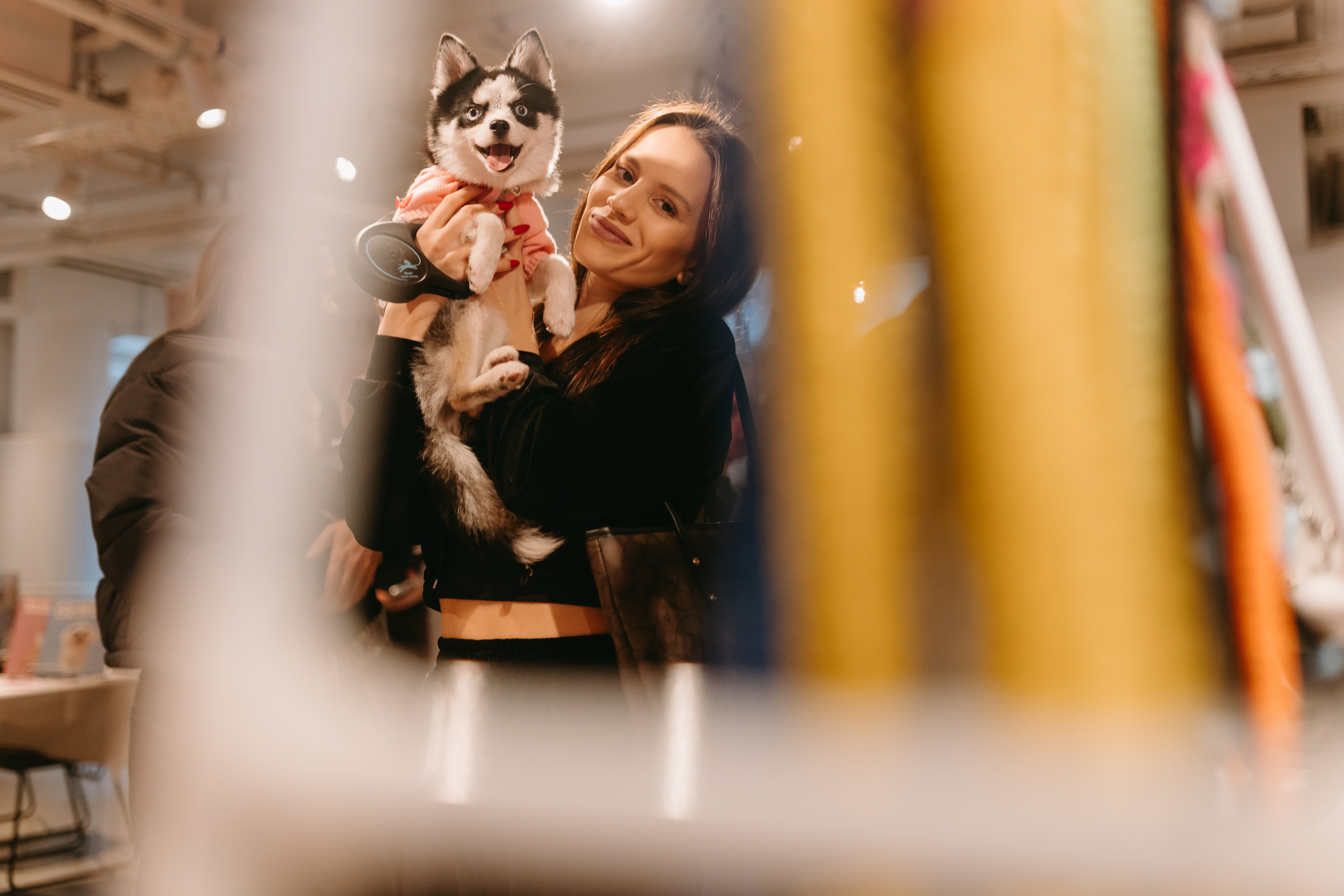 Frisky Dog Day. Фотограф Ирина Авдеева