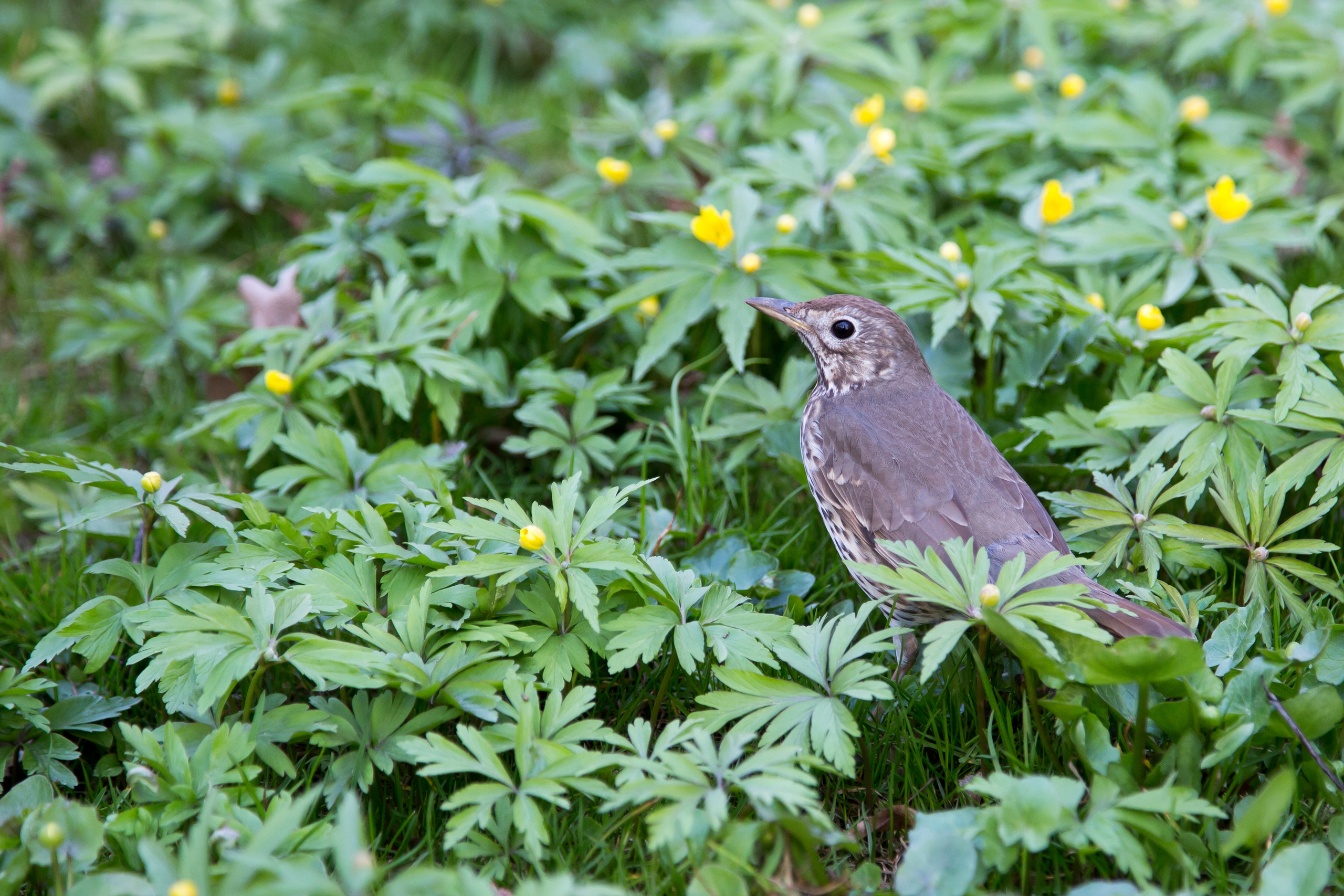 Кусково. Coach & photographer Anna Sushkova | Valencia, Spain