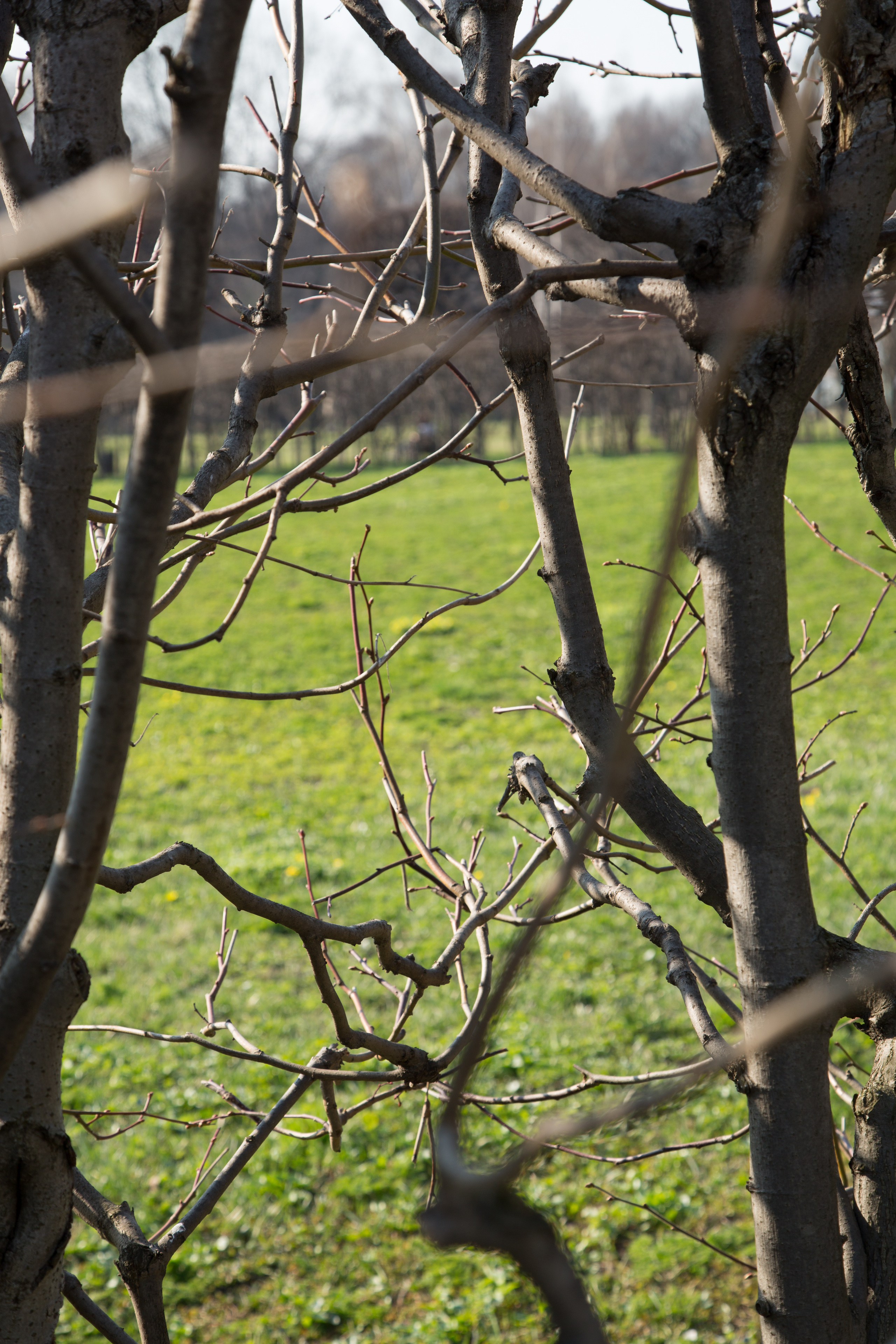 Кусково. Coach & photographer Anna Sushkova | Valencia, Spain
