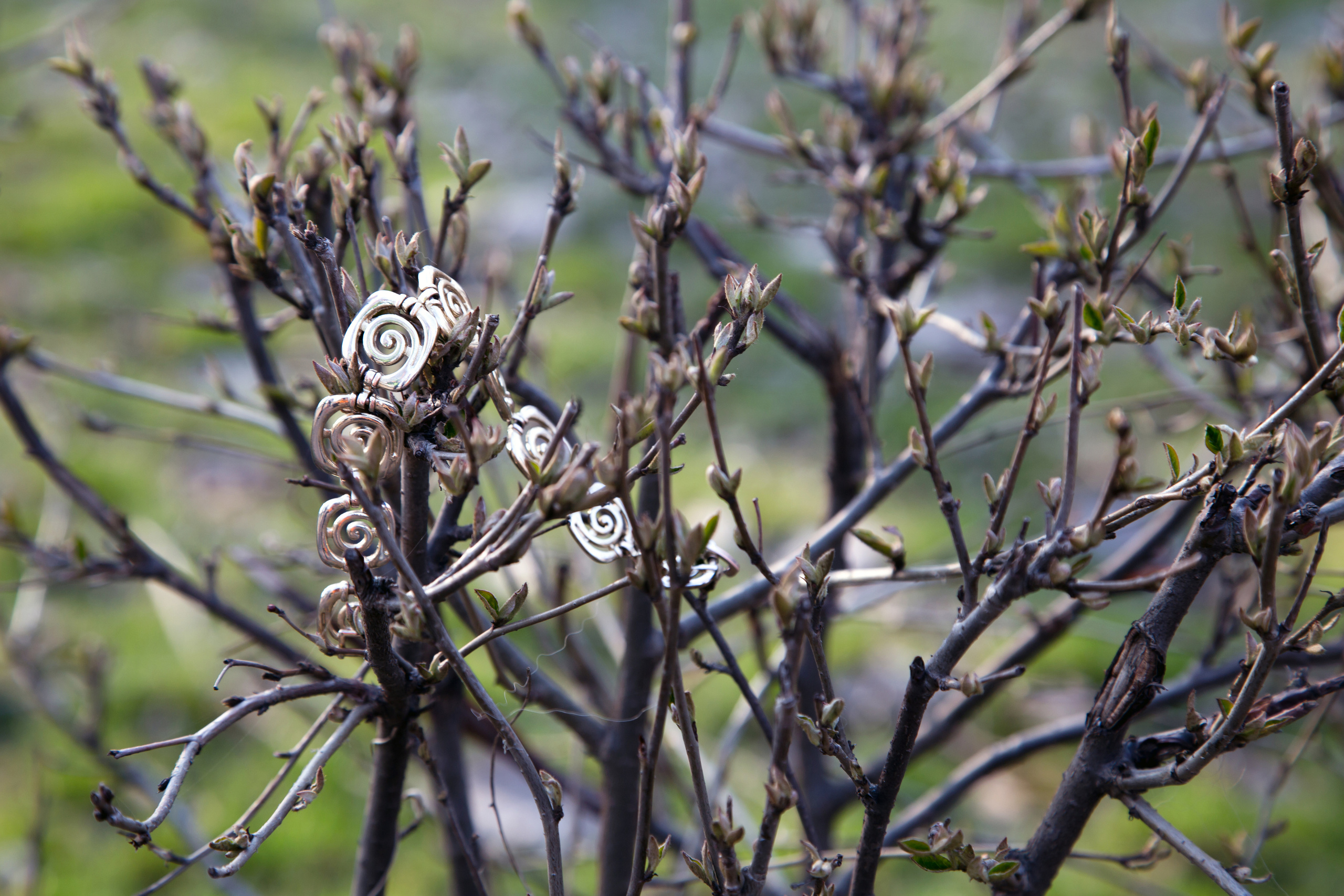 Кусково. Coach & photographer Anna Sushkova | Valencia, Spain