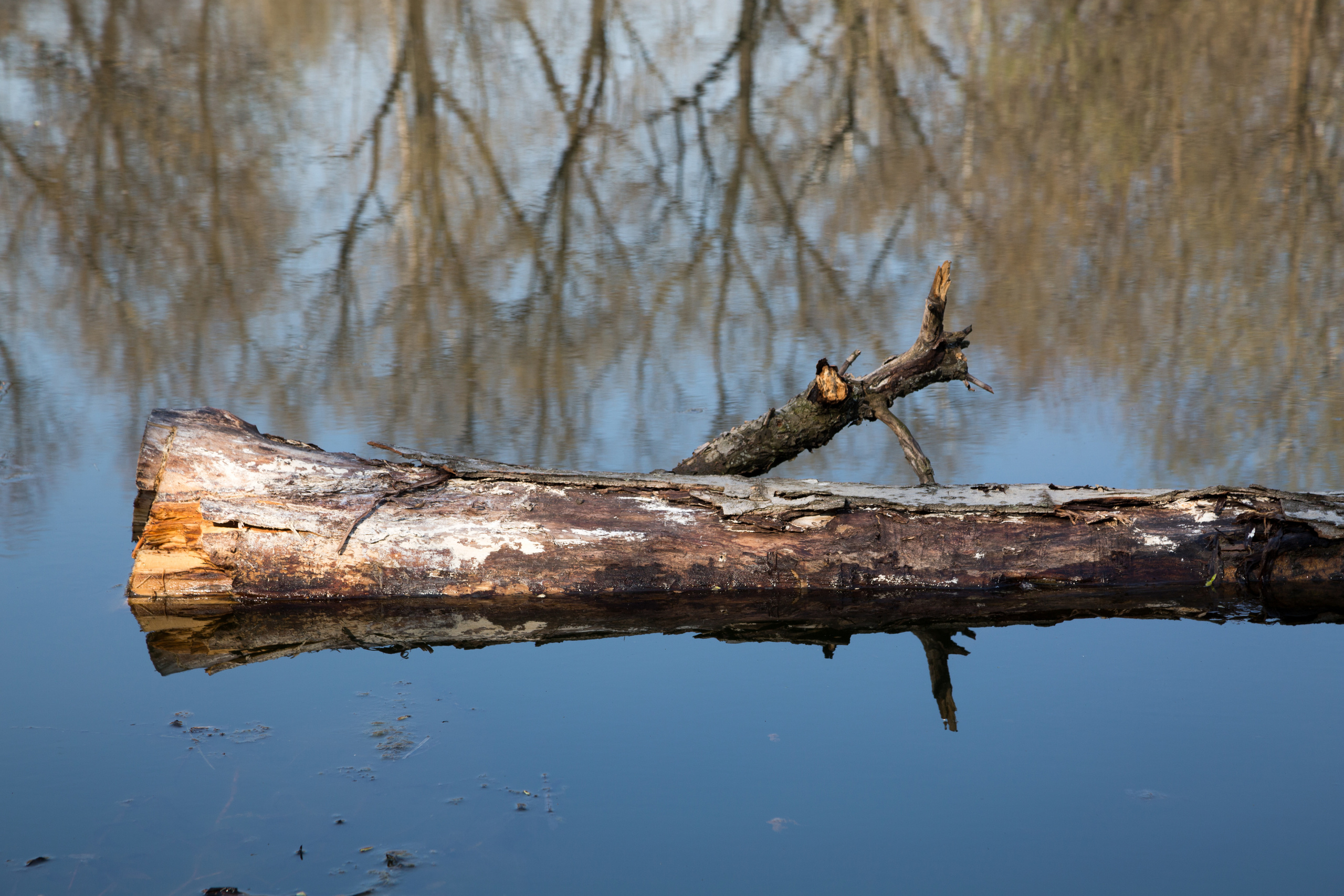 Кусково. Coach & photographer Anna Sushkova | Valencia, Spain