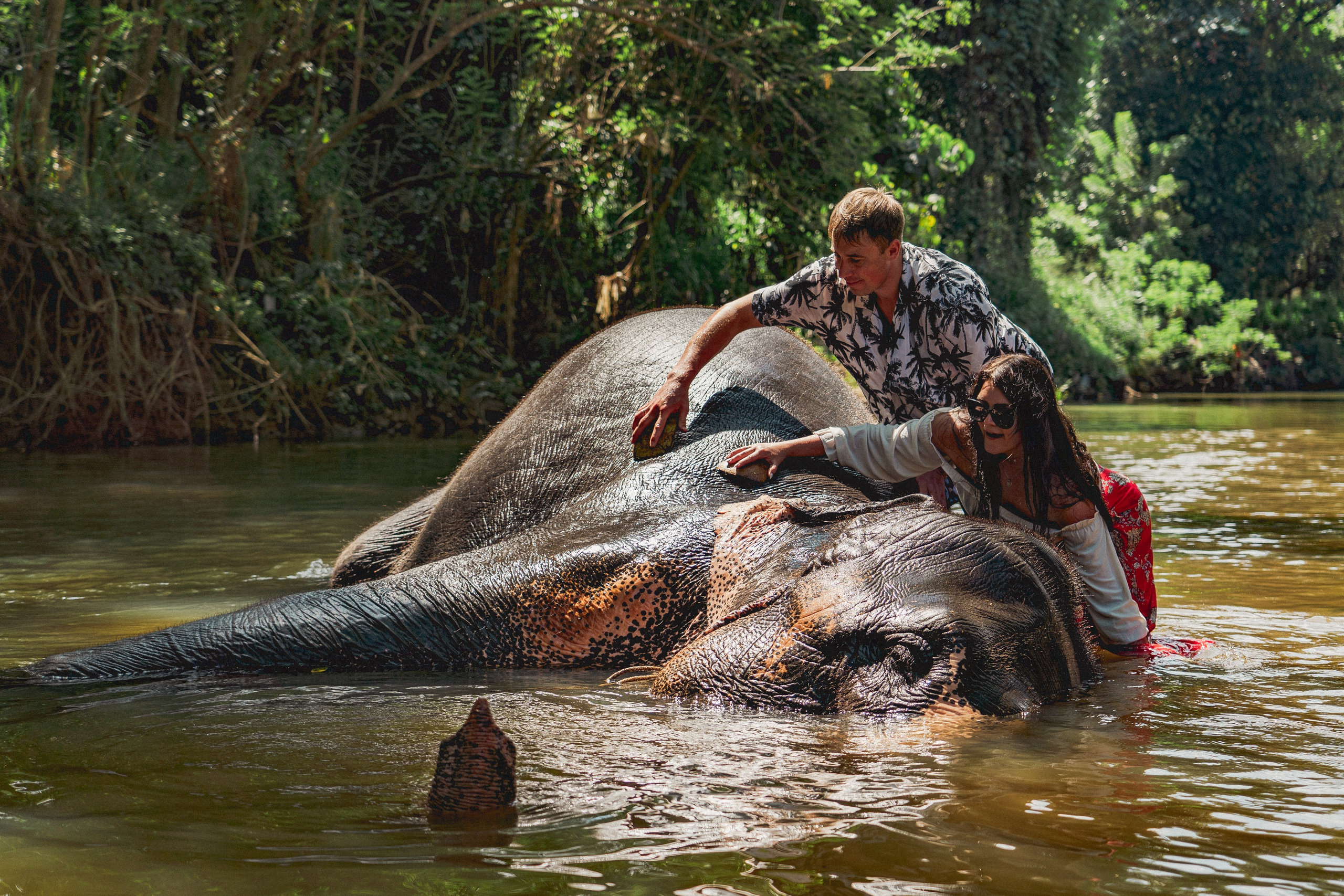 Bathing with elephants in Pinnawala, Botanical Garden
