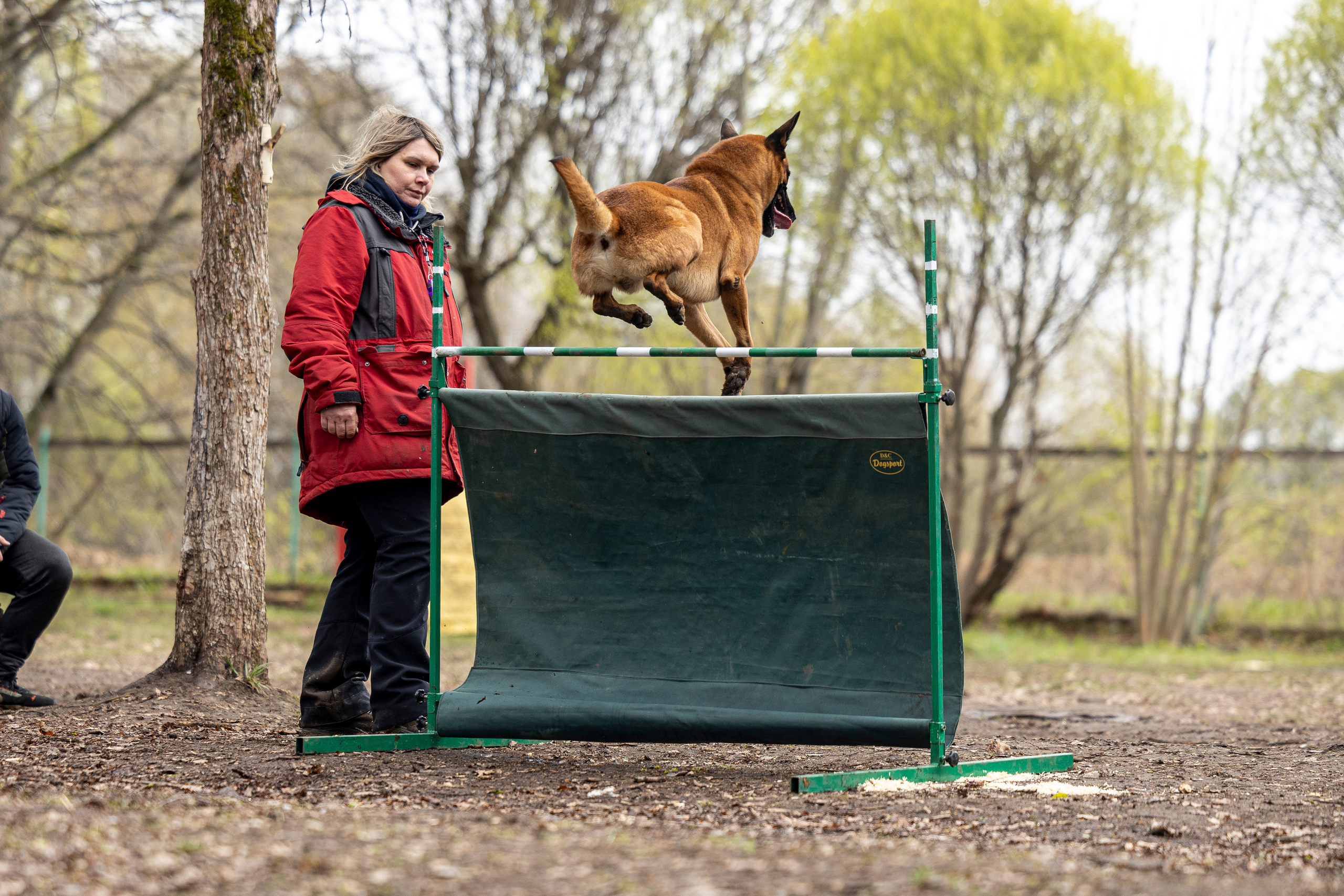 Квалификационные состязания по мондьорингу г. Вологда 11.05.24. Фотограф-анималист Анна Маринич