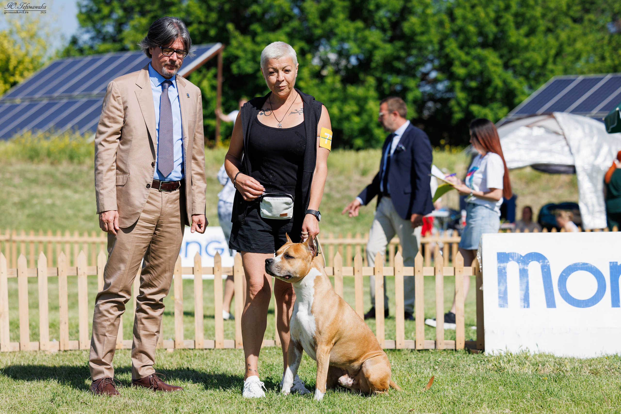 Ереван 3-5.06.2024. Фотограф-анималист Юлия Германика