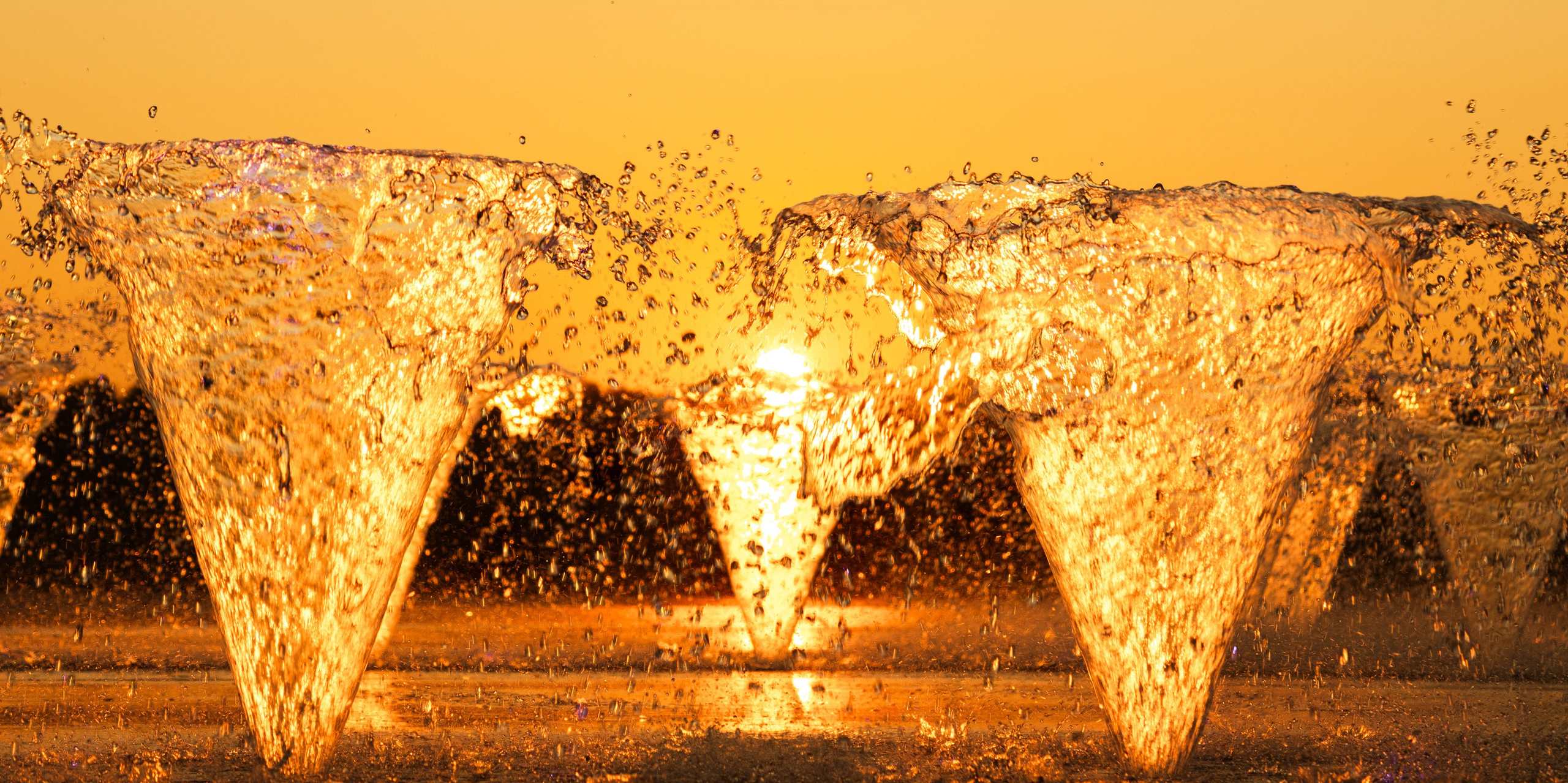 Jean De Vivre Gallery