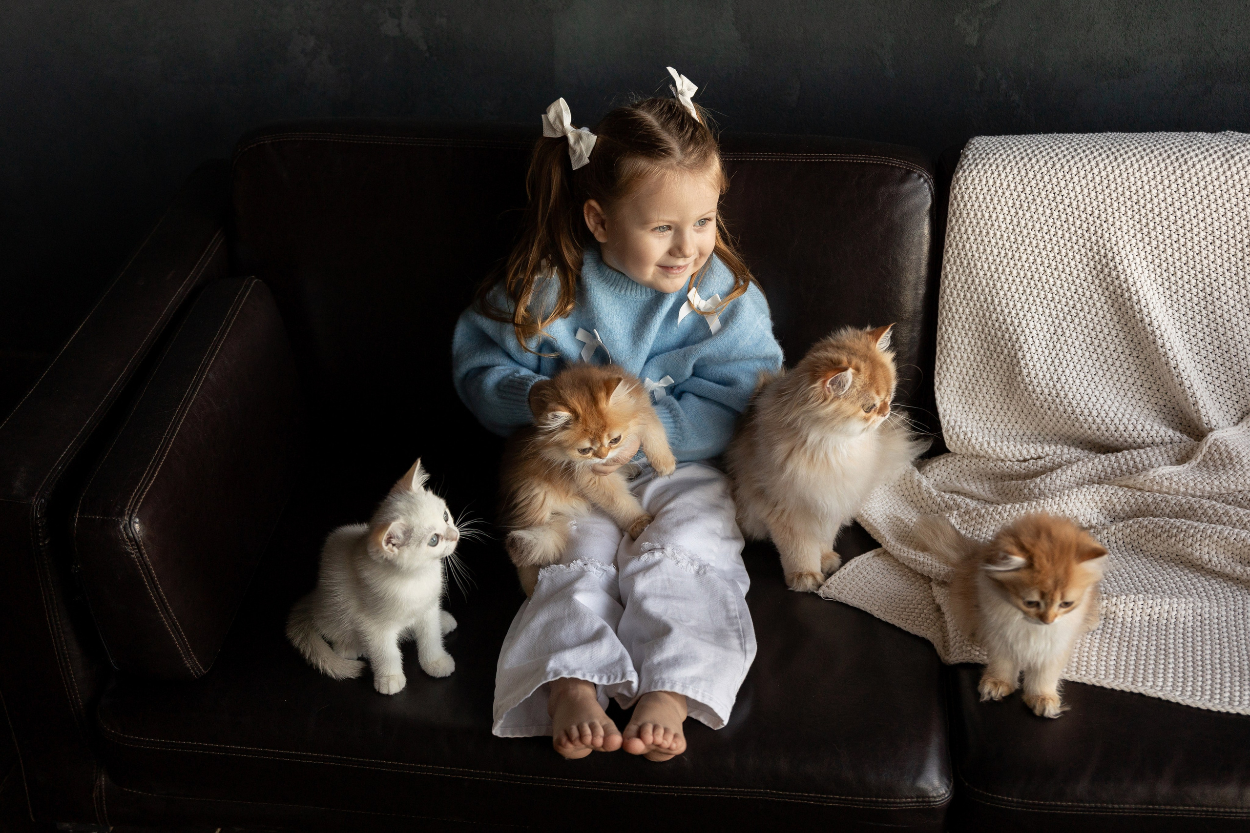 Фотосессия с котятами. Семейный и свадебный фотограф в Санкт-Петербурге Татьяна Швыкова