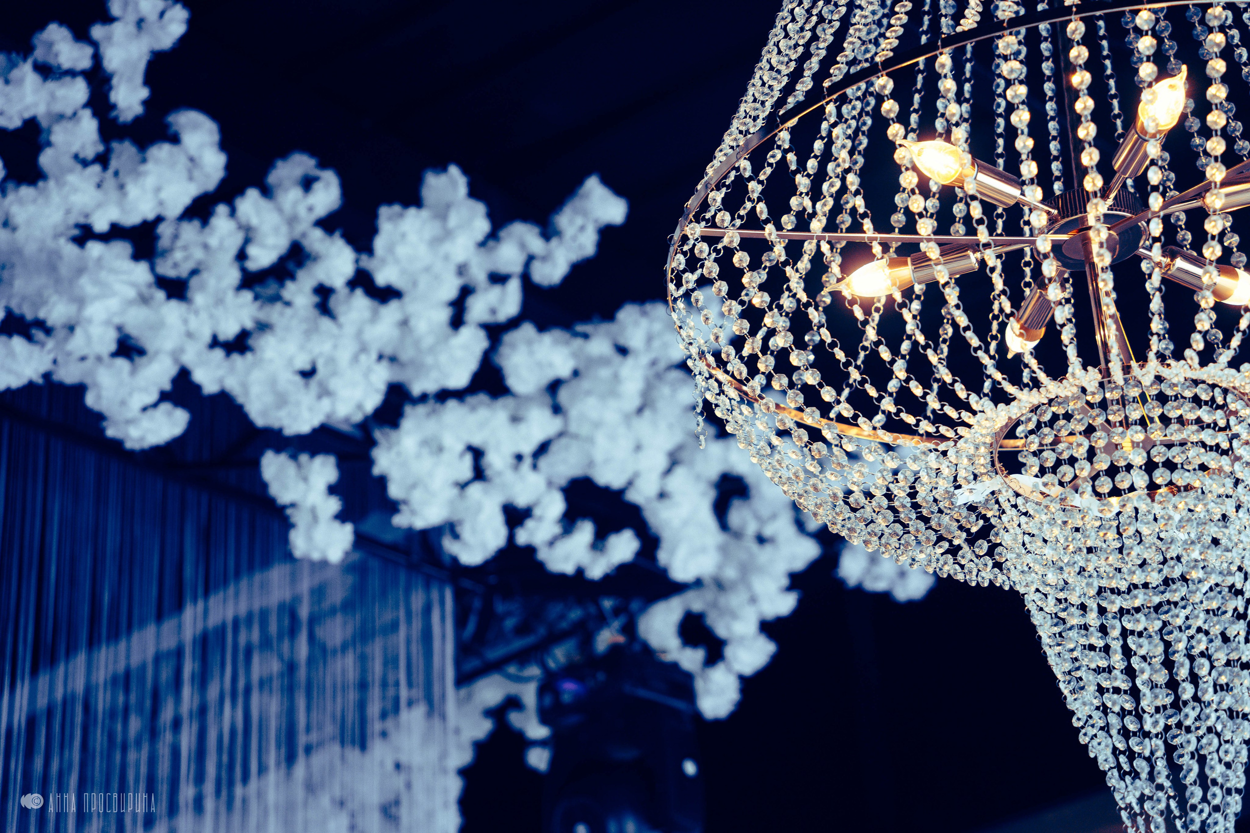 Корпоратив компании «Нэо-рециклинг». Ваш фотограф в Санкт-Петербурге Анна Просвирина