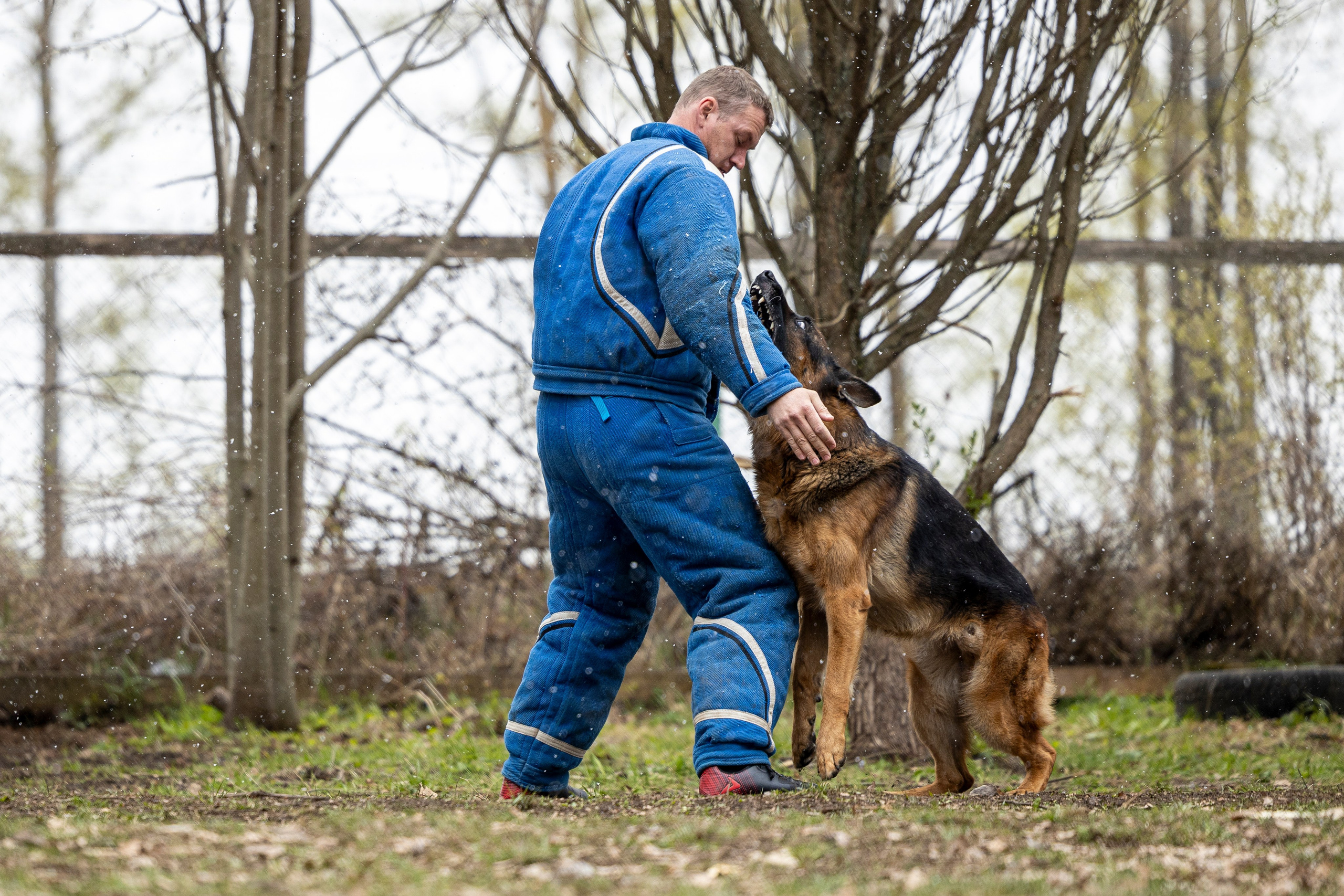 Квалификационные состязания по мондьорингу г. Вологда 11.05.24. Фотограф-анималист Анна Маринич