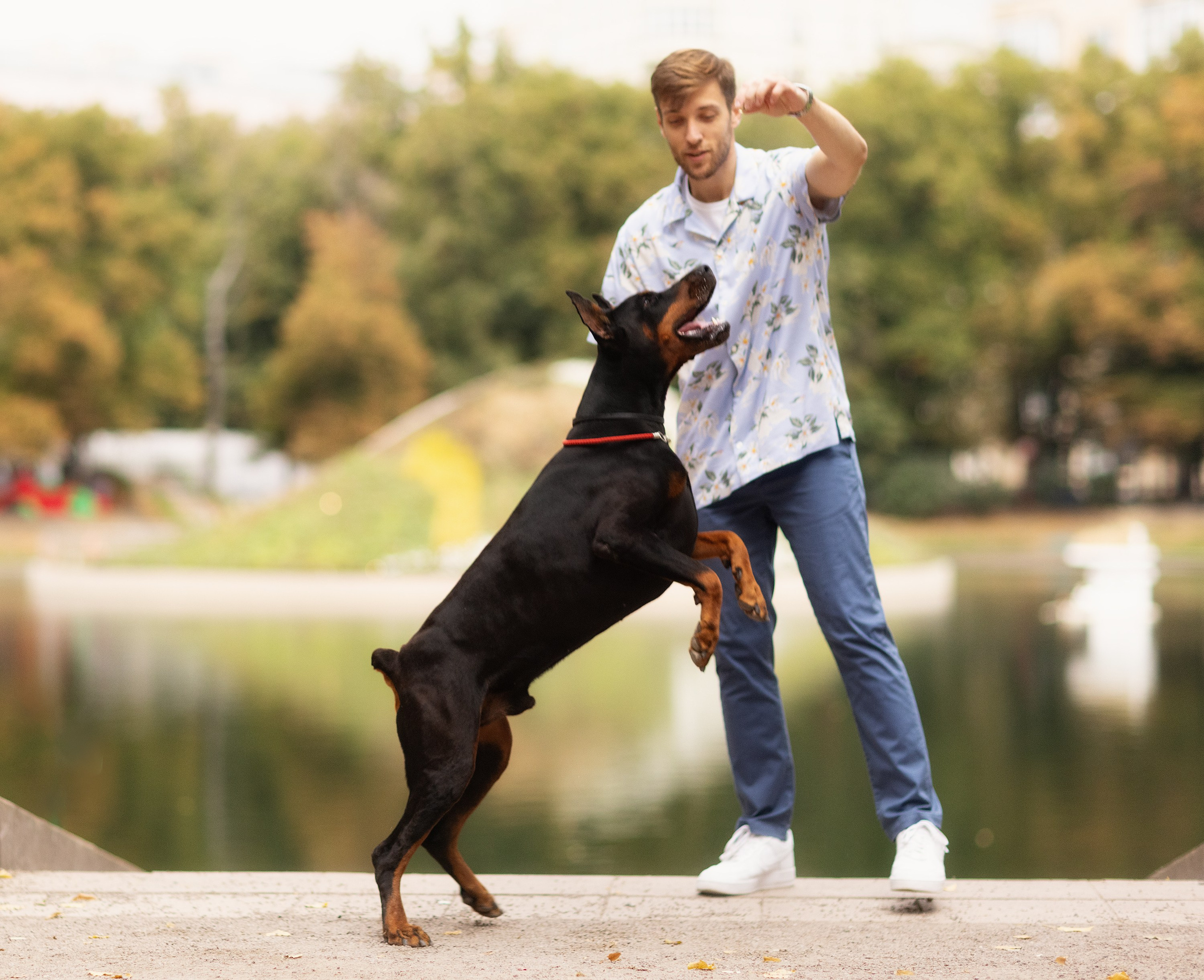 Собака и человек. Boldinova Yulia фотограф Москва