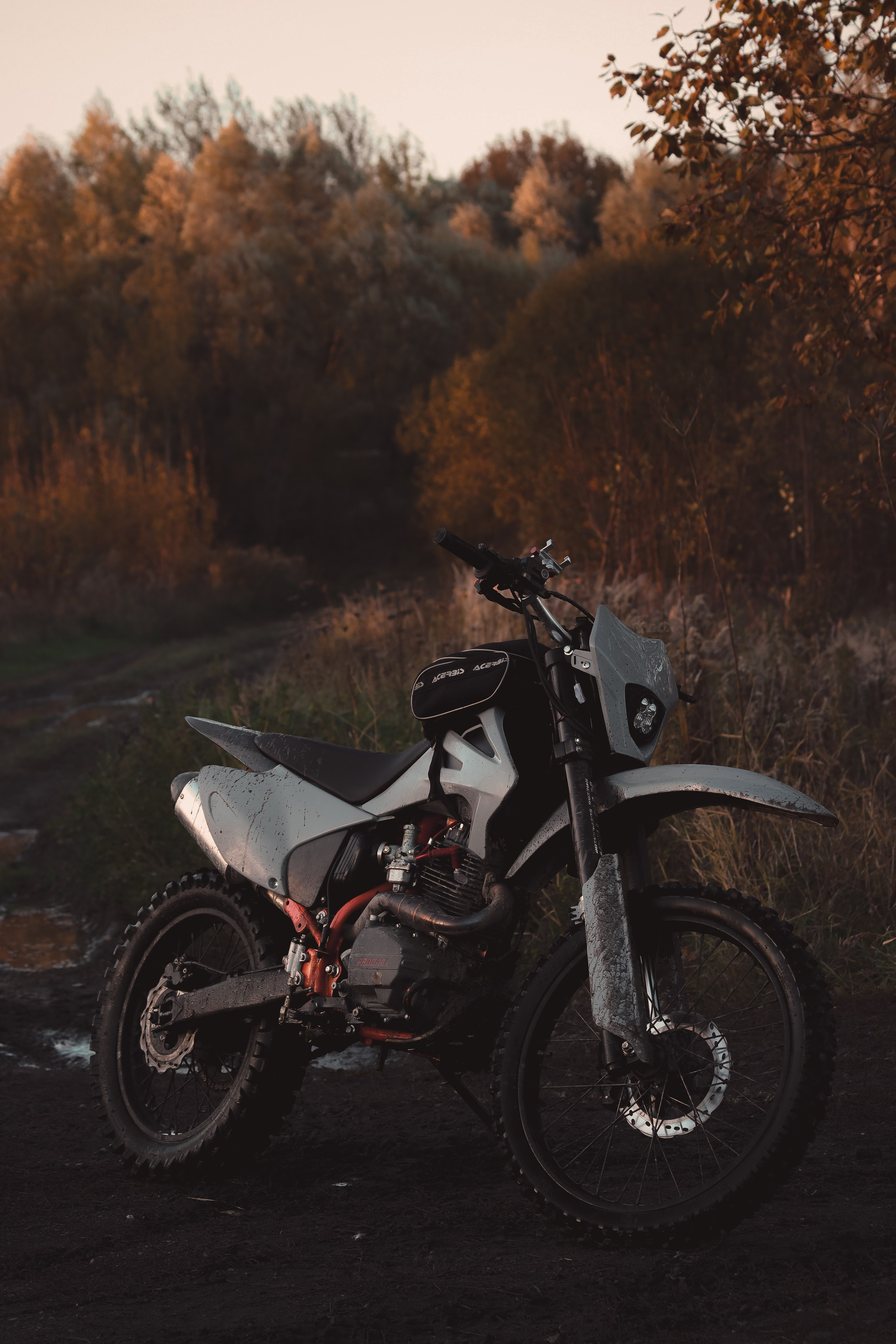 Никита П. (Daryl Dixon). — Digital Noise —