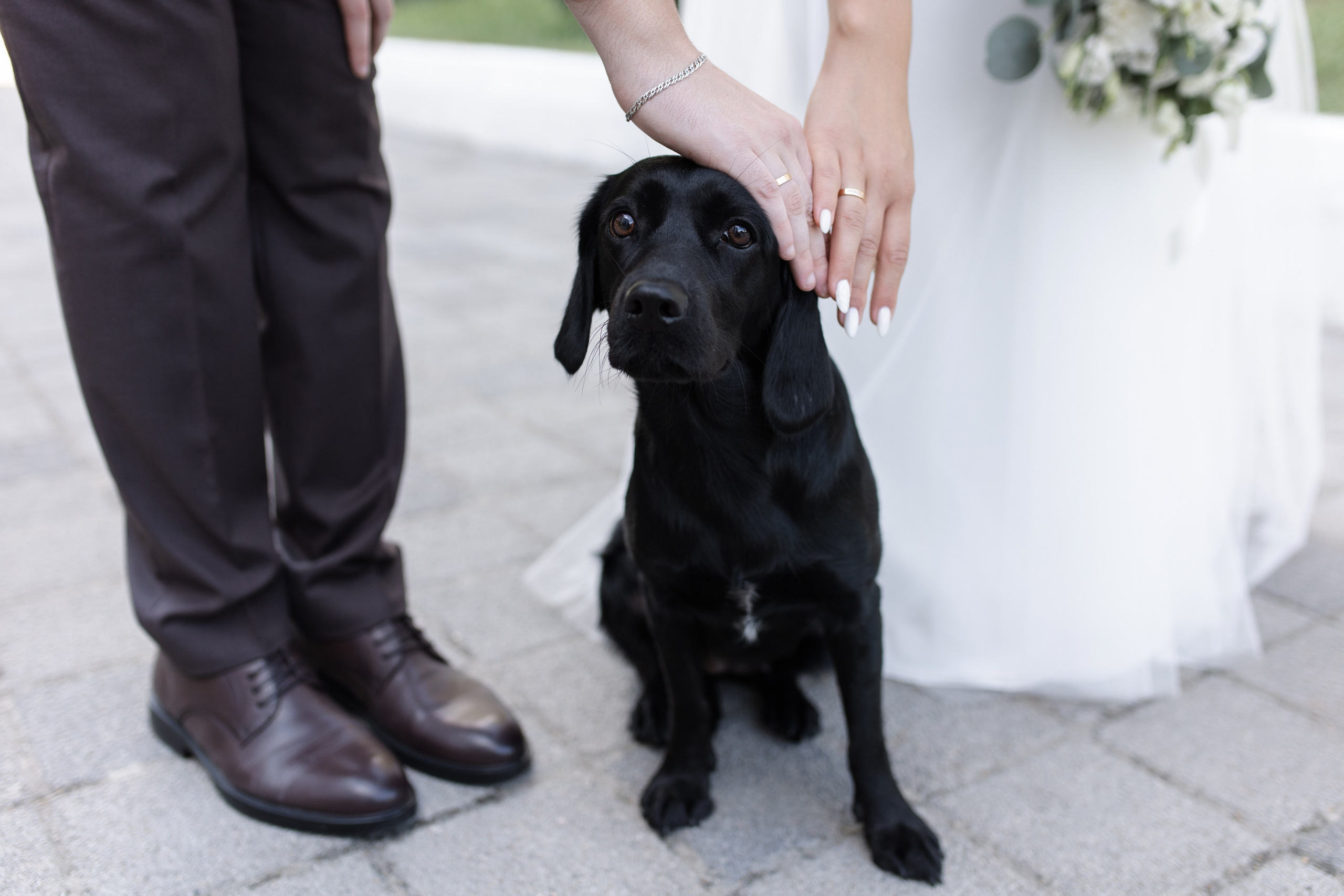 Саша и Леся. Свадебный и семейный фотограф в Белгороде Юлия Першина
