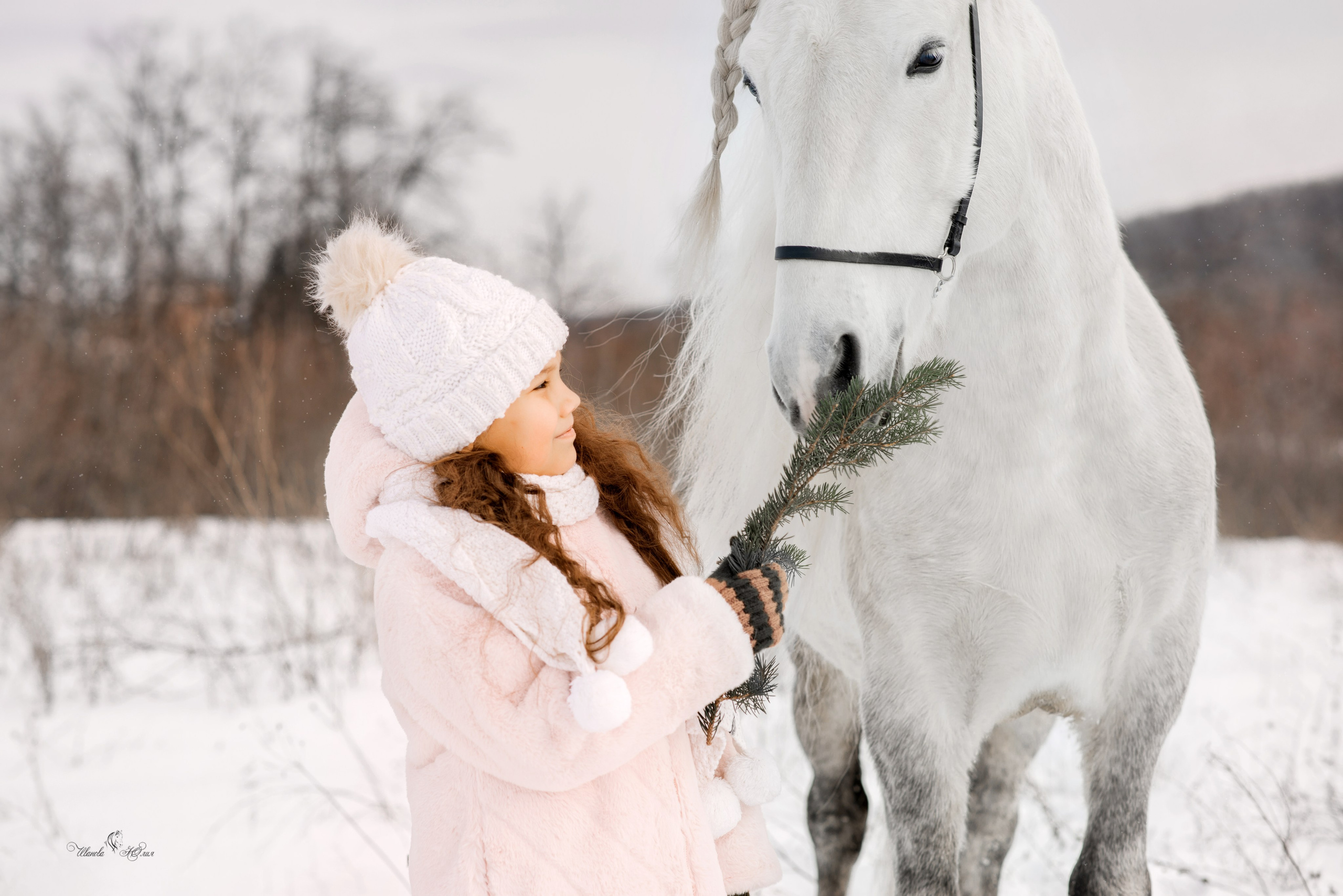 Милана и Вымпел. Конный фотограф в Саратове Юлия Иванова