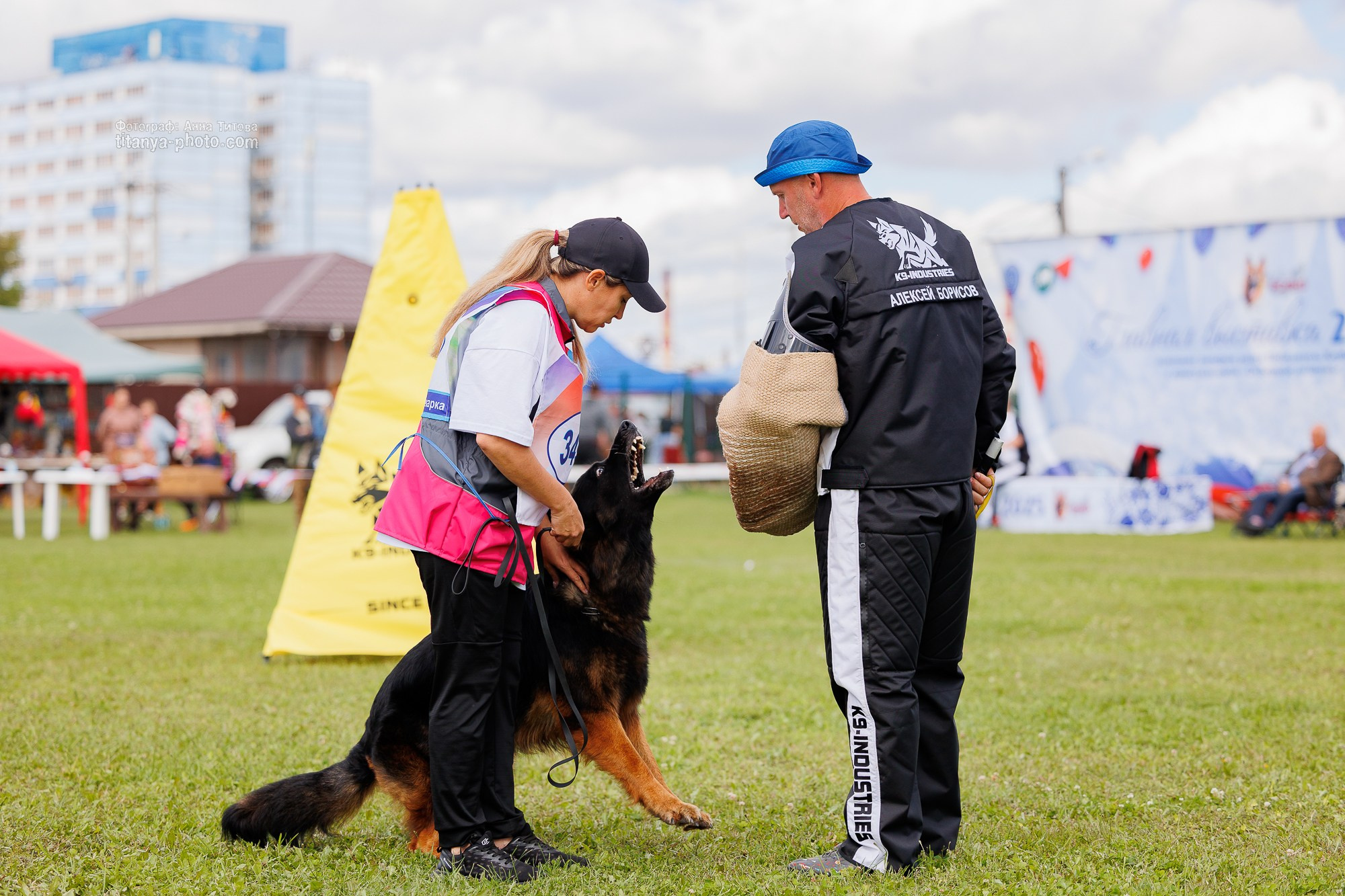 Немецкие овчарки: фото из рингов и вне ринга, мутпроба (фотографии с выставок). Фотограф собак, фотограф-анималист Аня Титова (Titanya). Москва