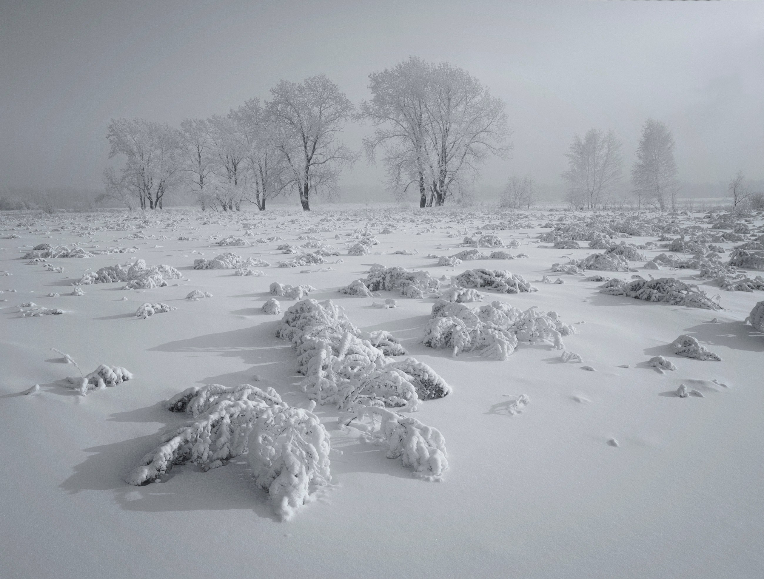 Александр Лещёнок-фотограф-пейзажист / г. Красноярск