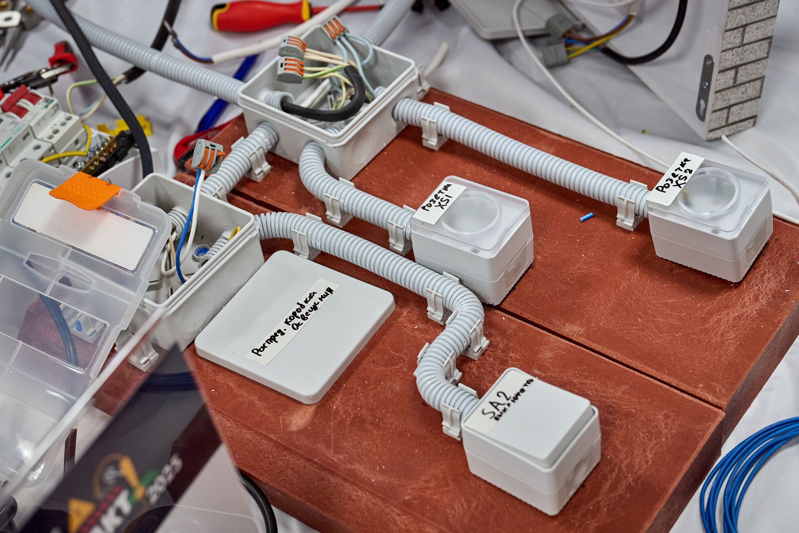 Конкурс «Есть контакт». Фотограф в Самаре