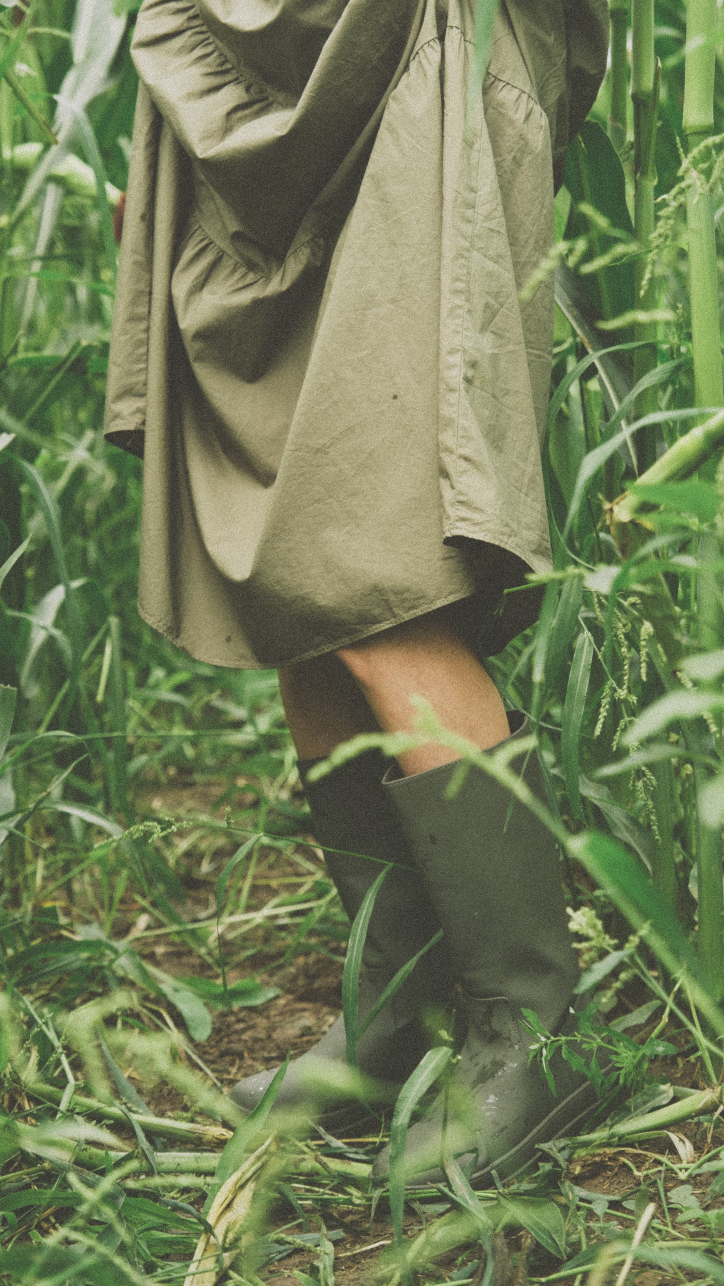 В кукурузном поле. Семейный фотограф Москва и Домодедово Ольга Игнатова