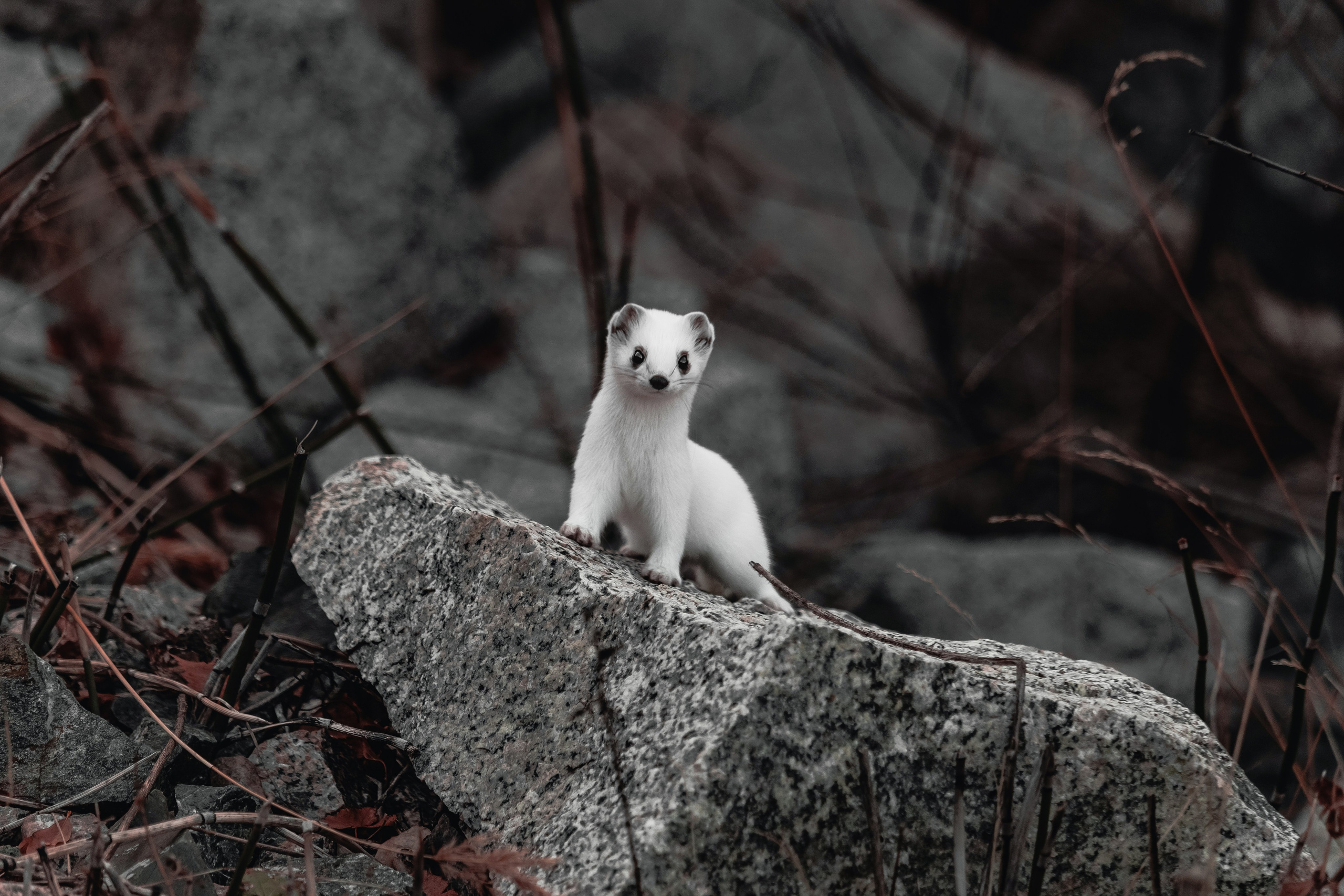 Жизнь. Фотограф Алматы | Весь мир — Никита Колодин
