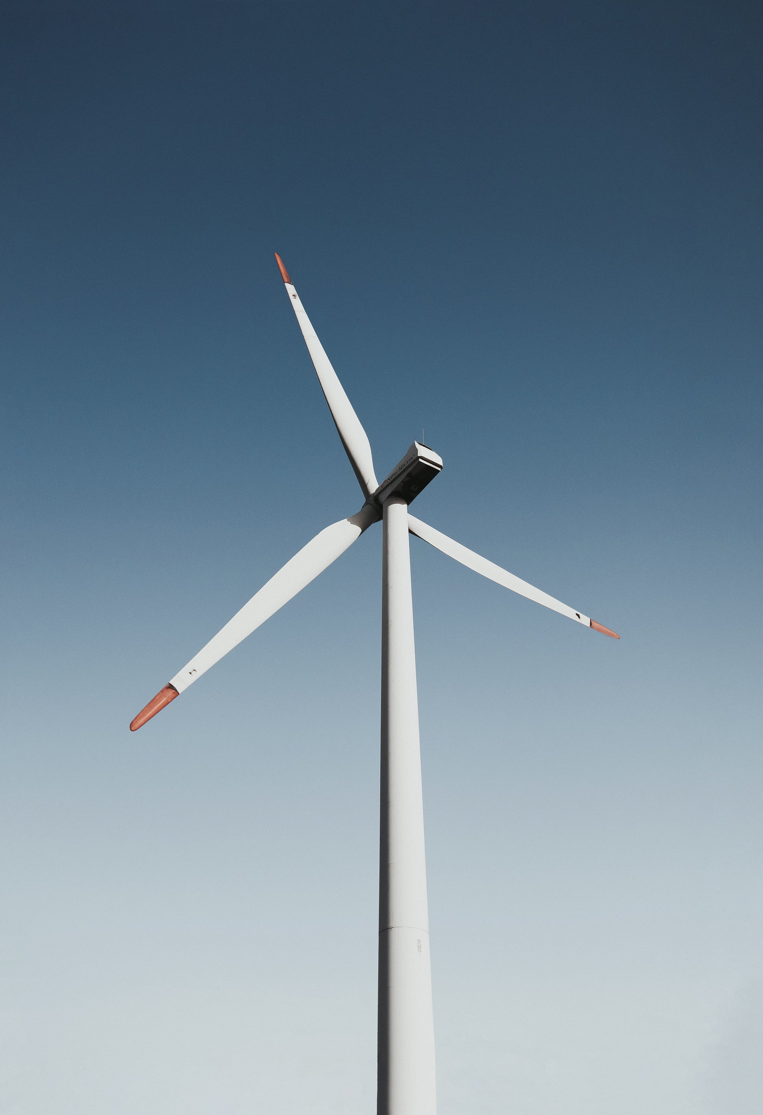 Жизнь. Фотограф Алматы | Весь мир — Никита Колодин