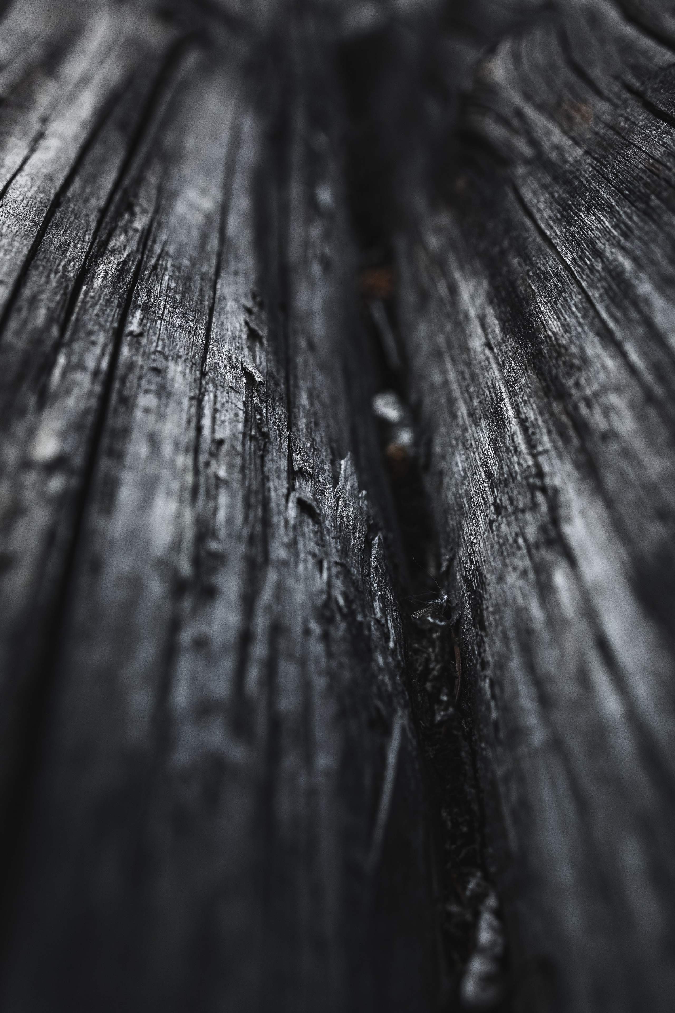 Жизнь. Фотограф Алматы | Весь мир — Никита Колодин