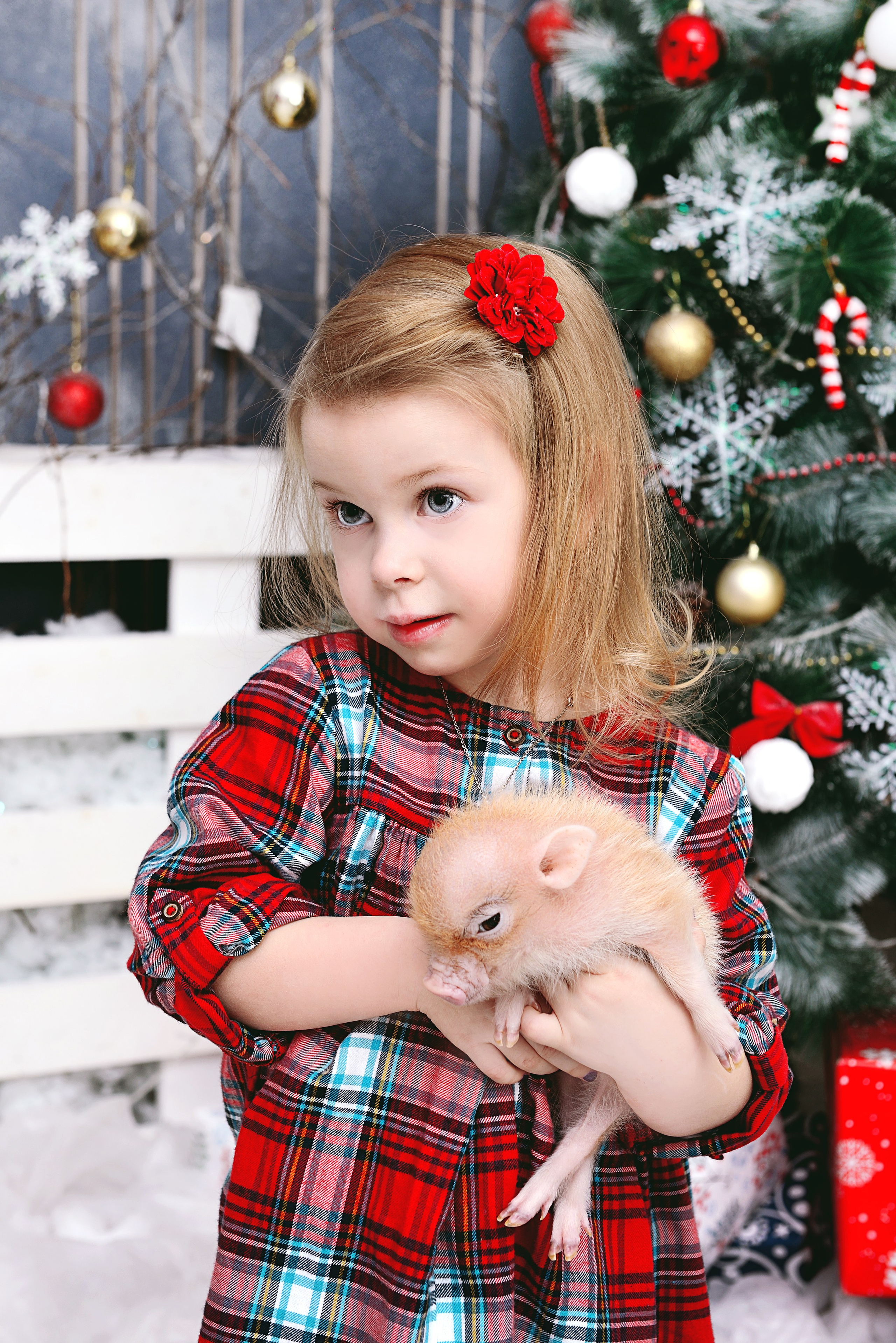 Студийные съемки. Выпускные альбомы в Москве. Фотограф Анна Вакор