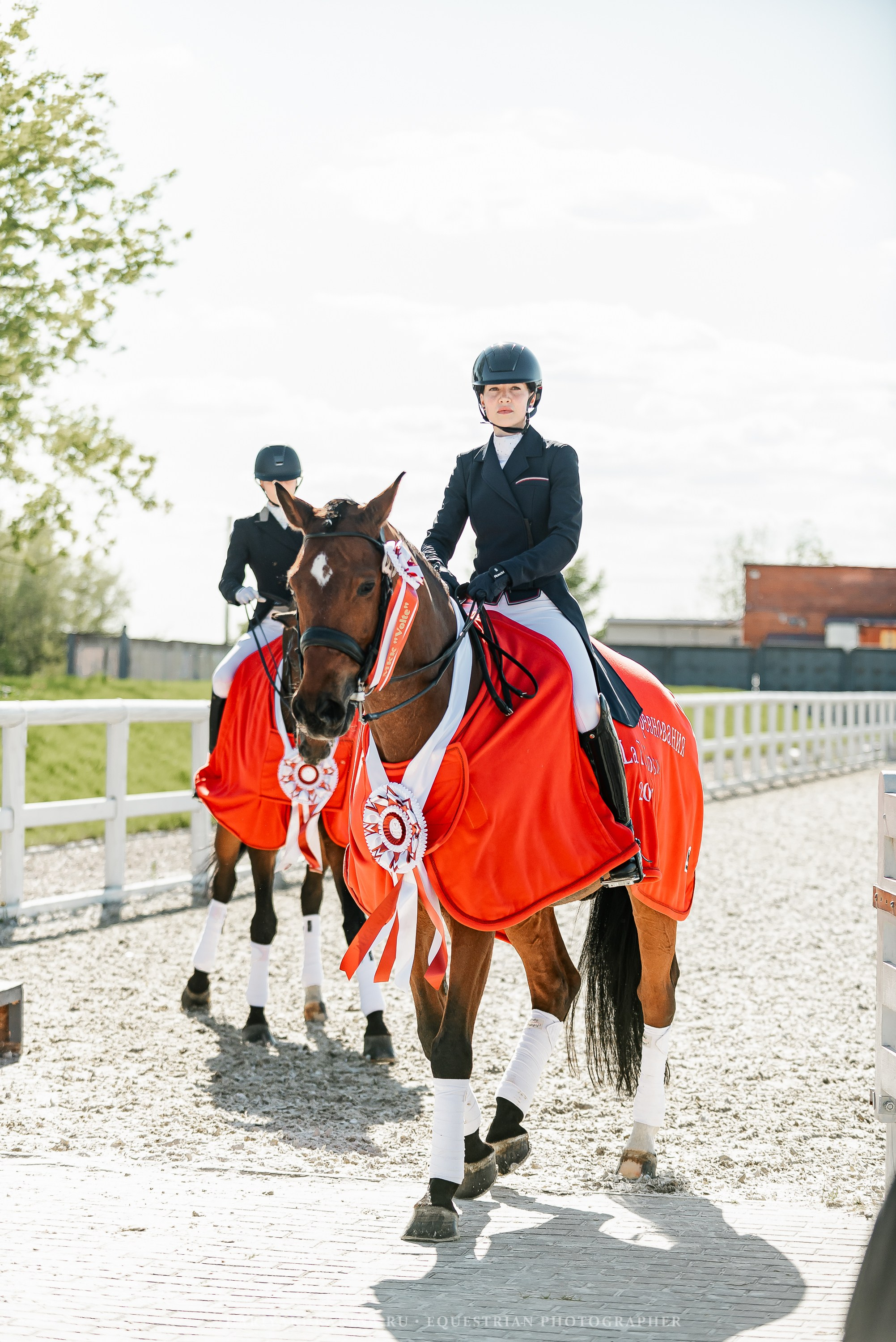 РЕПОРТАЖ МКК ВОЛЬТ «LA TULIPS». Конный фотограф Куракина Дарья • Фотосессии с лошадьми