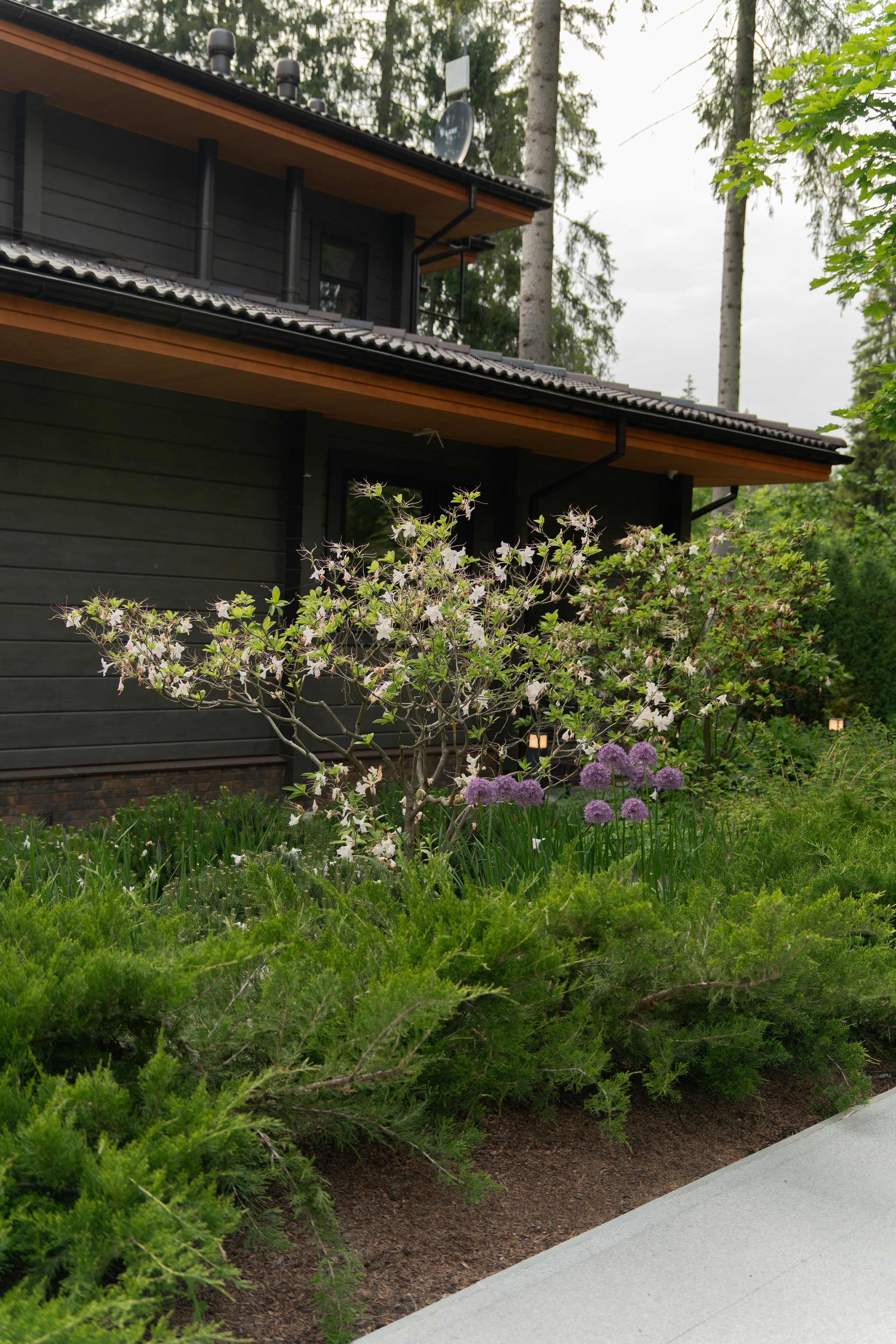 Участок в каральском стиле. Автомобильный фотограф Светлана Усова