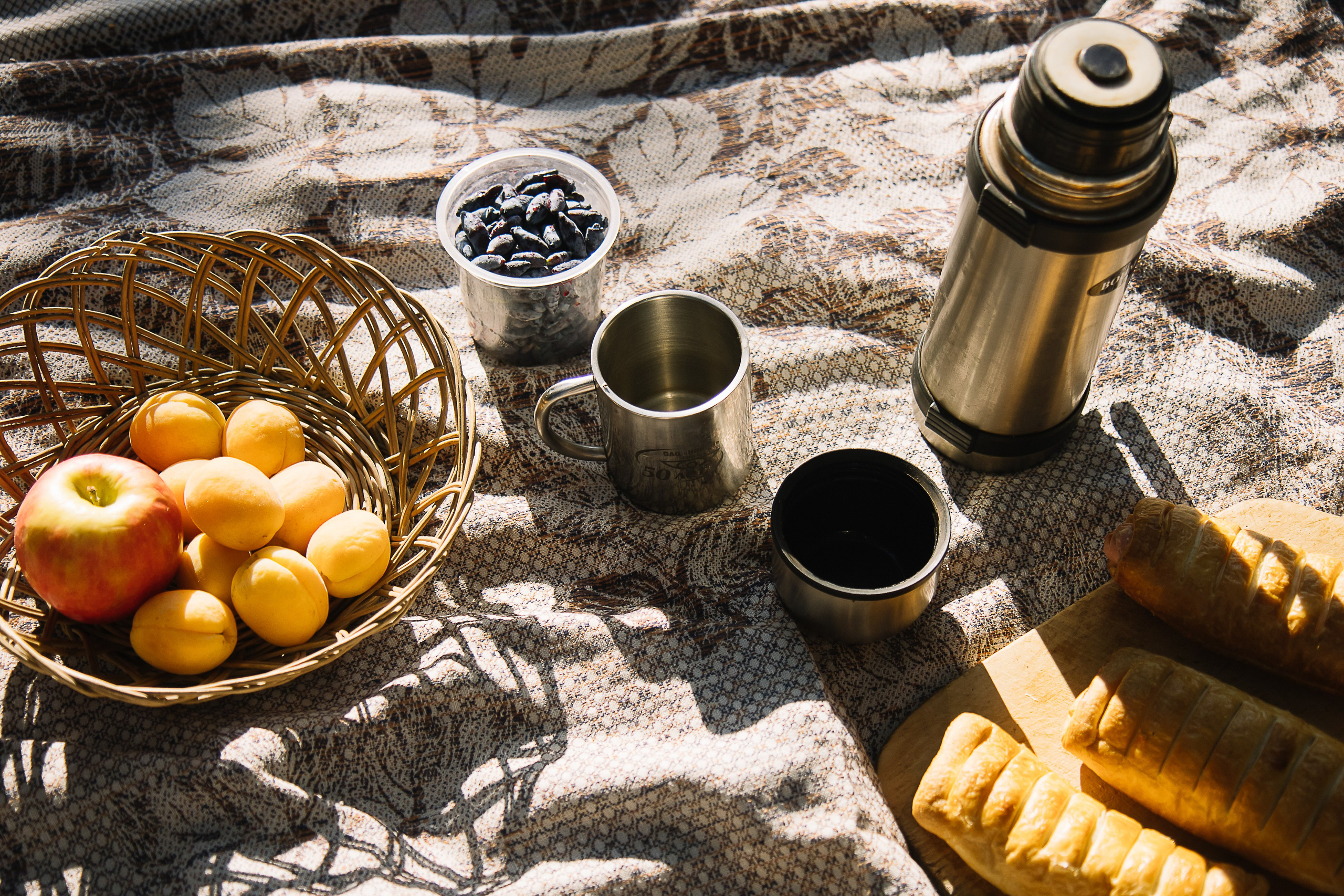 Семейное утро в сосновом лесу. Семейный фотограф в Томске Максимова Екатерина