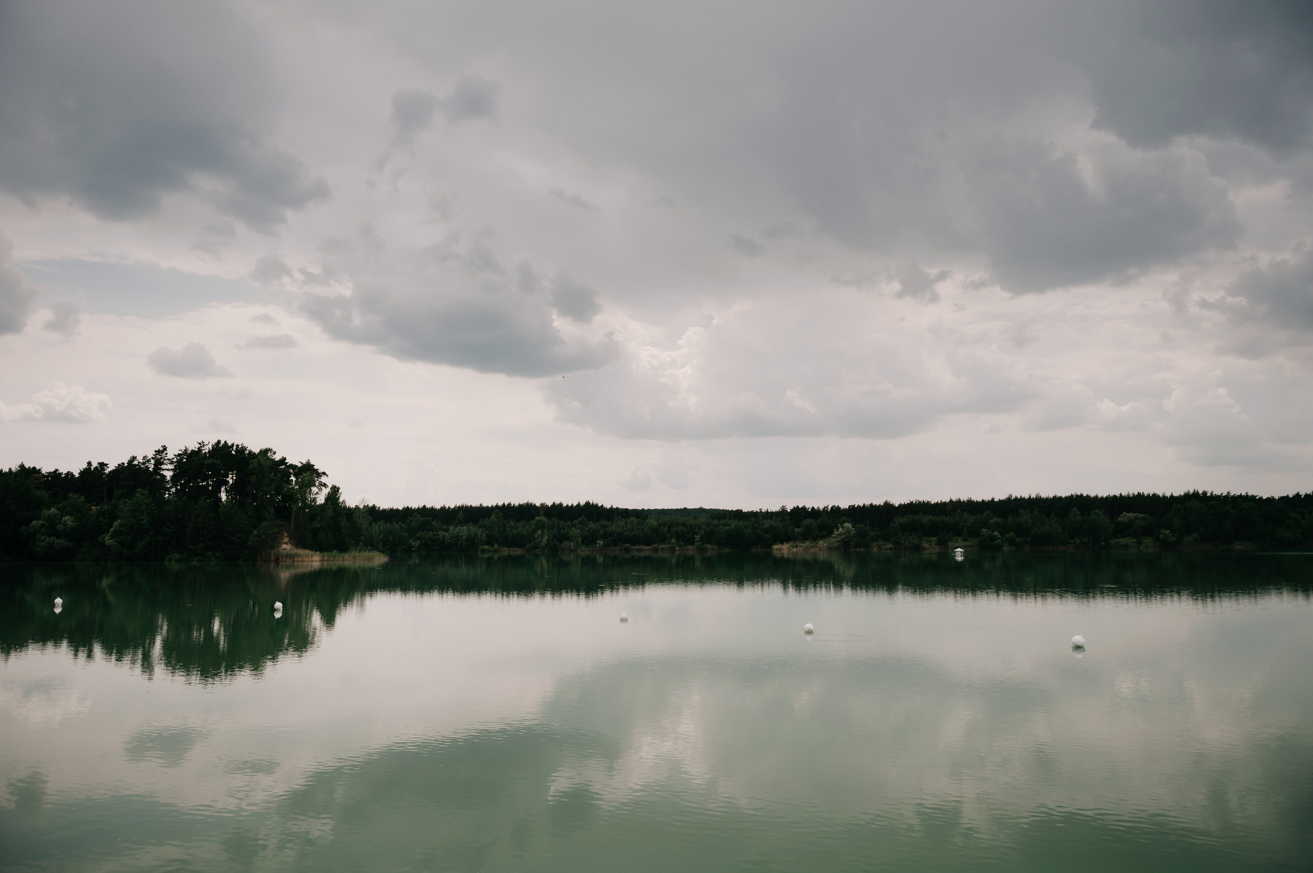 Игорь и Таня. Свадебный фотограф Марина Жемчужникова в Москве и в Белгороде