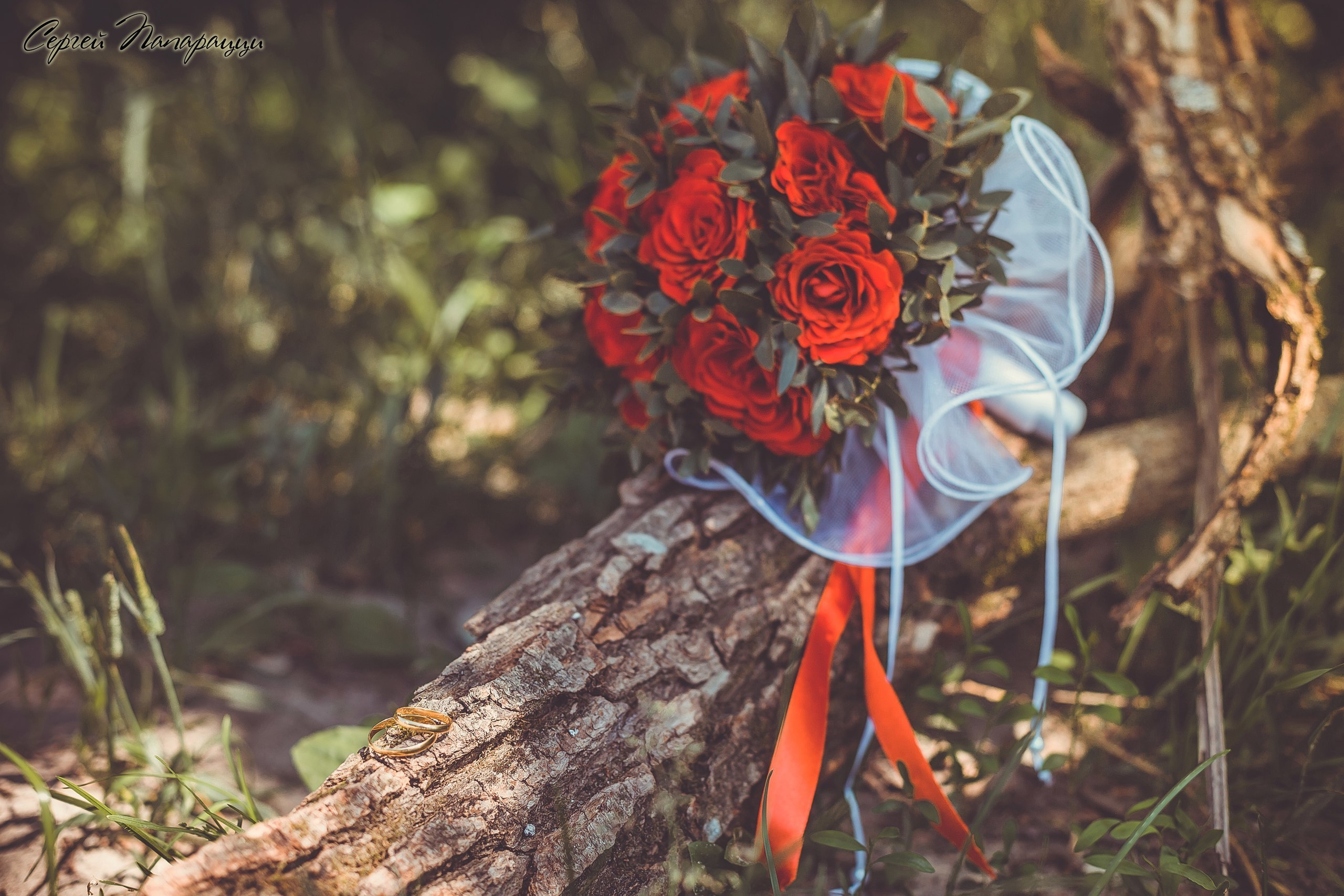 Свадебная фотосъёмка, фотограф, фотосъёмка, свадебный фотограф, свадеб. Фотограф Сергей Папарацци