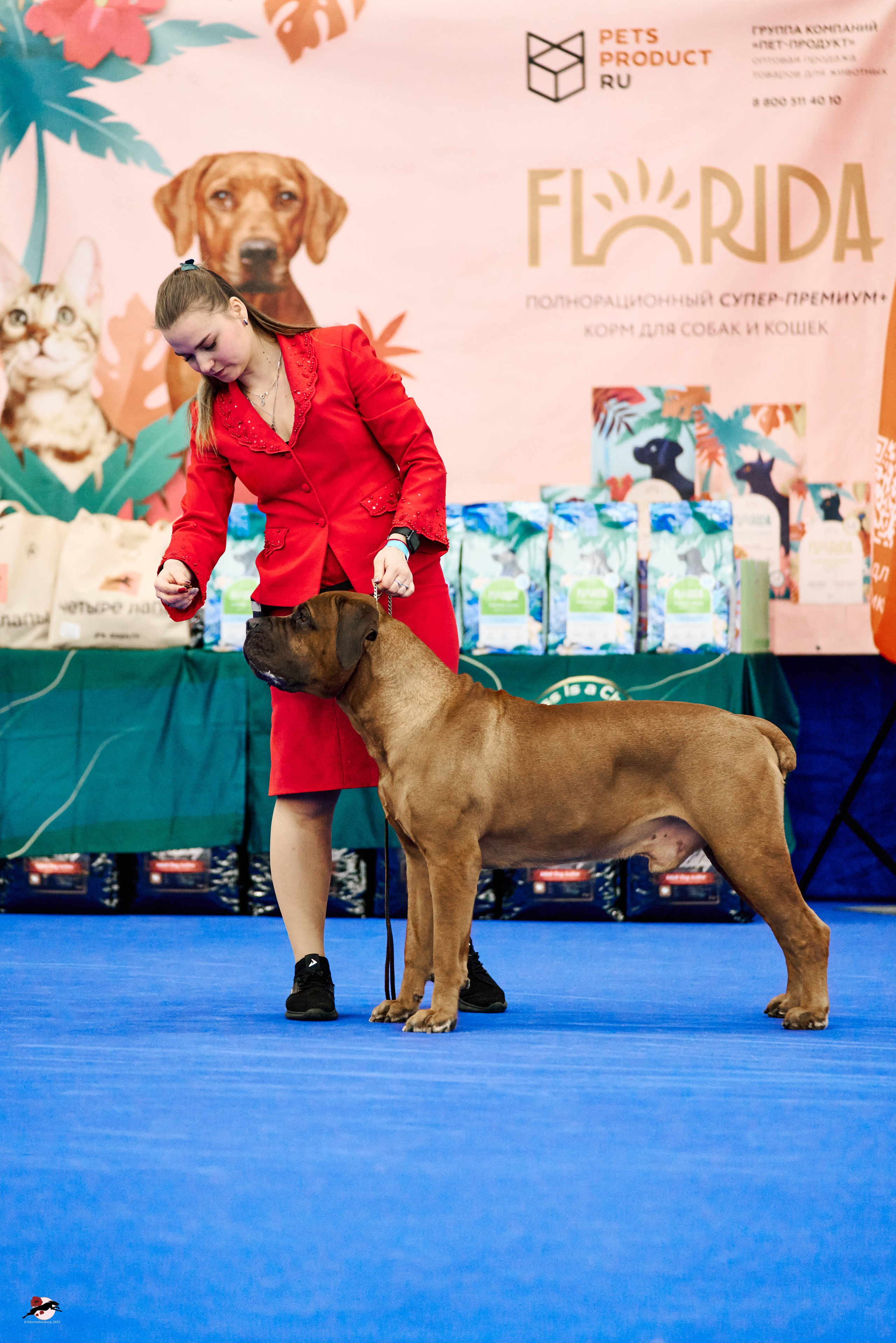 22-23 FEB 2025 | NATIONAL DOG SHOW «BALTIC TRIUMPH-2025»