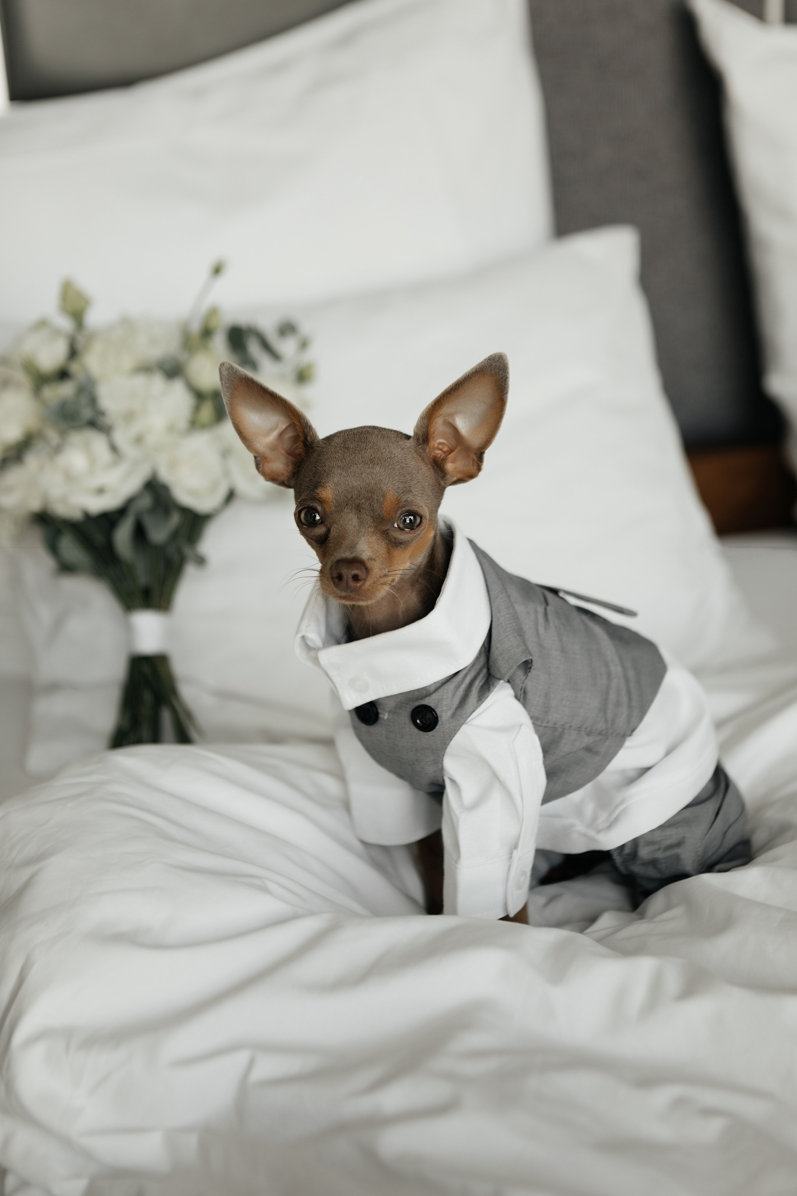 Dmitry & Tatiana. Свадебный организатор в Ростове-на-Дону Яснов Роман