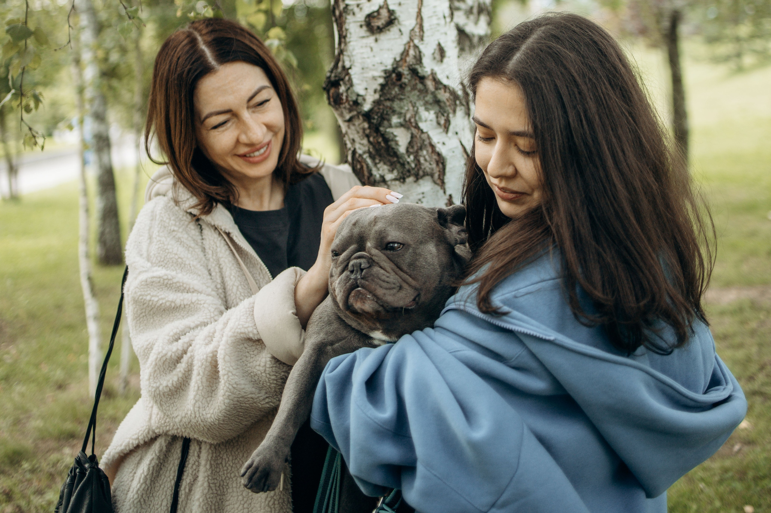 Грей и его семья