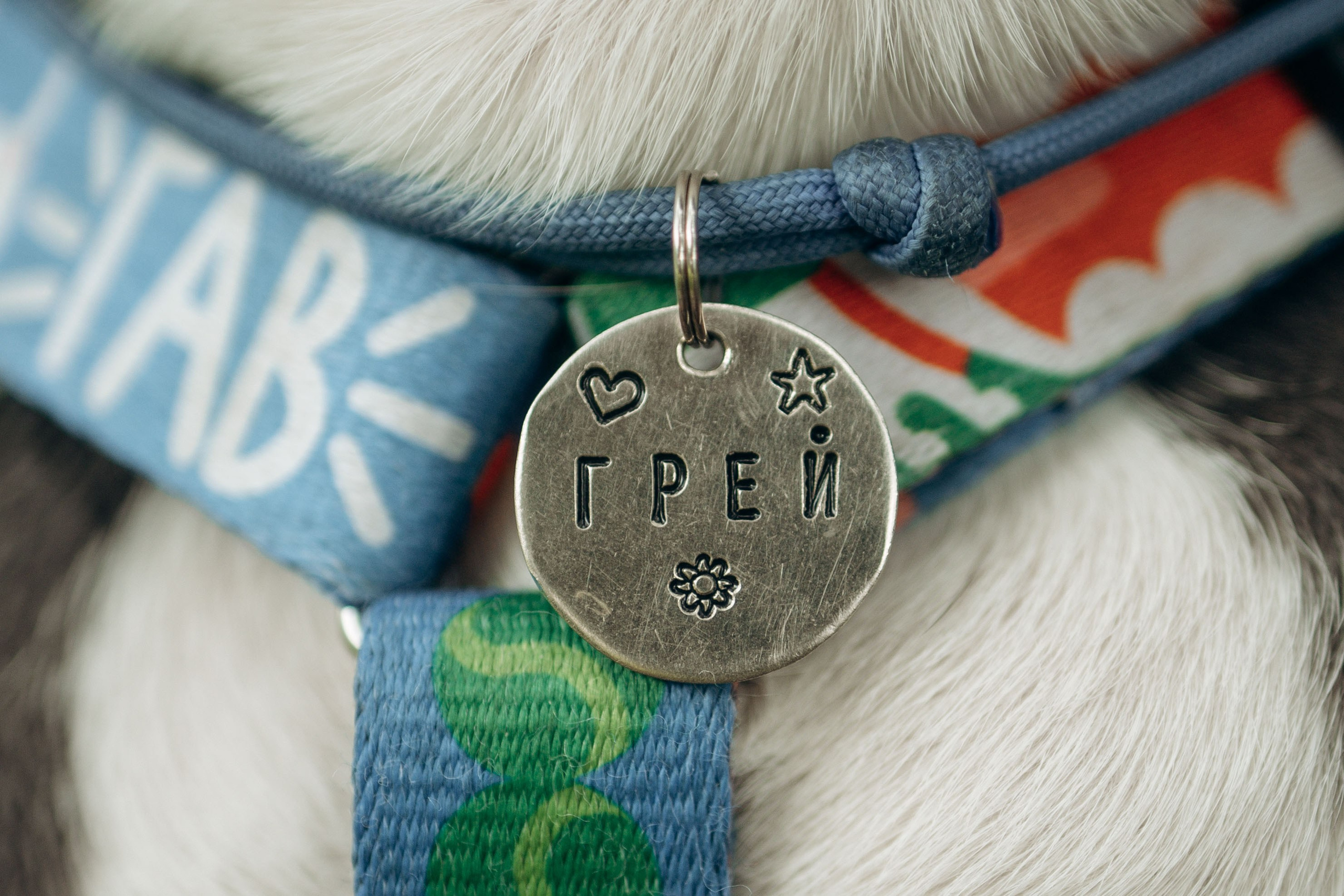 Грей и его семья