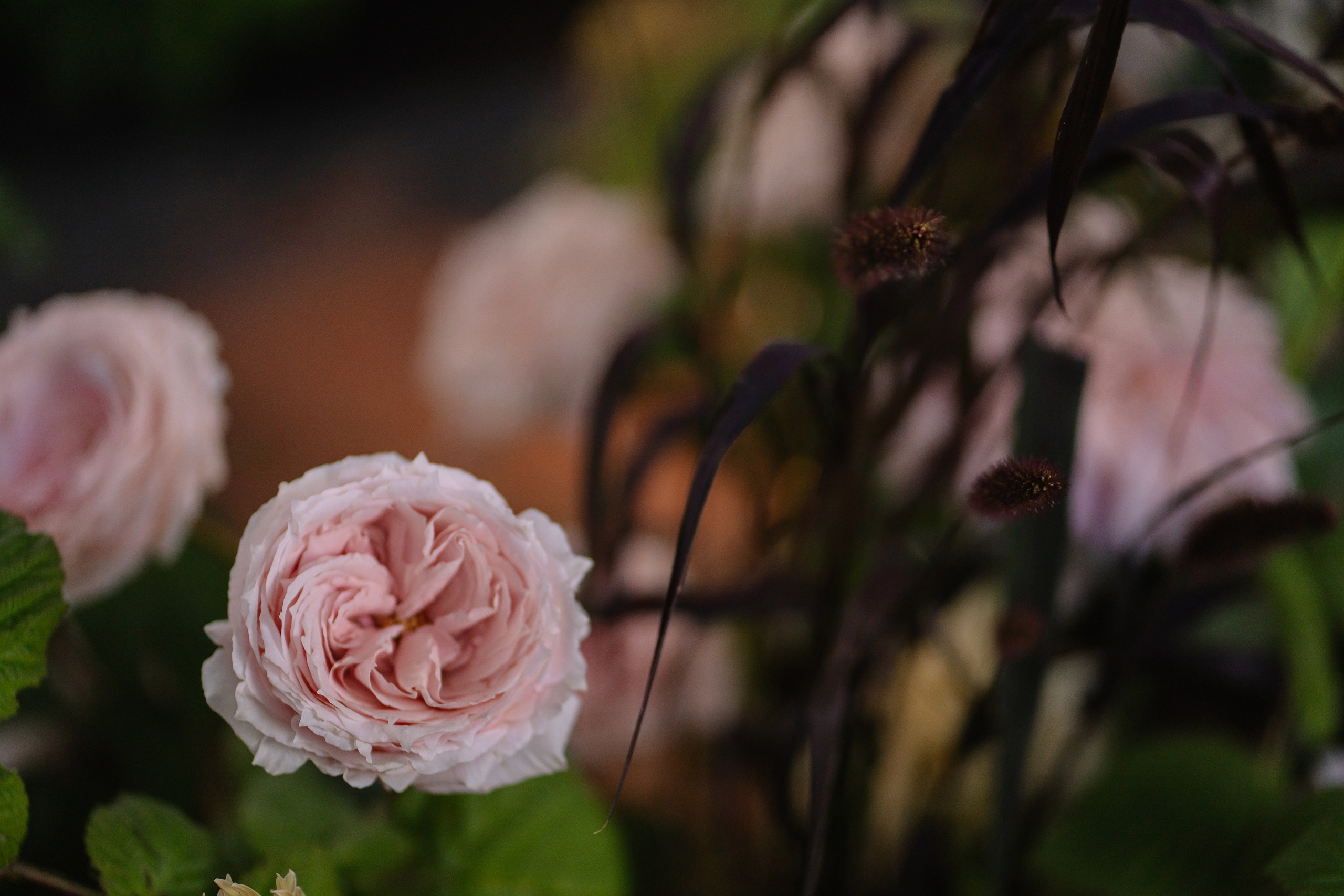 Свадебный день Руслана и Лали. Свадебный и семейный фотограф в Анапе Елена Полетаева