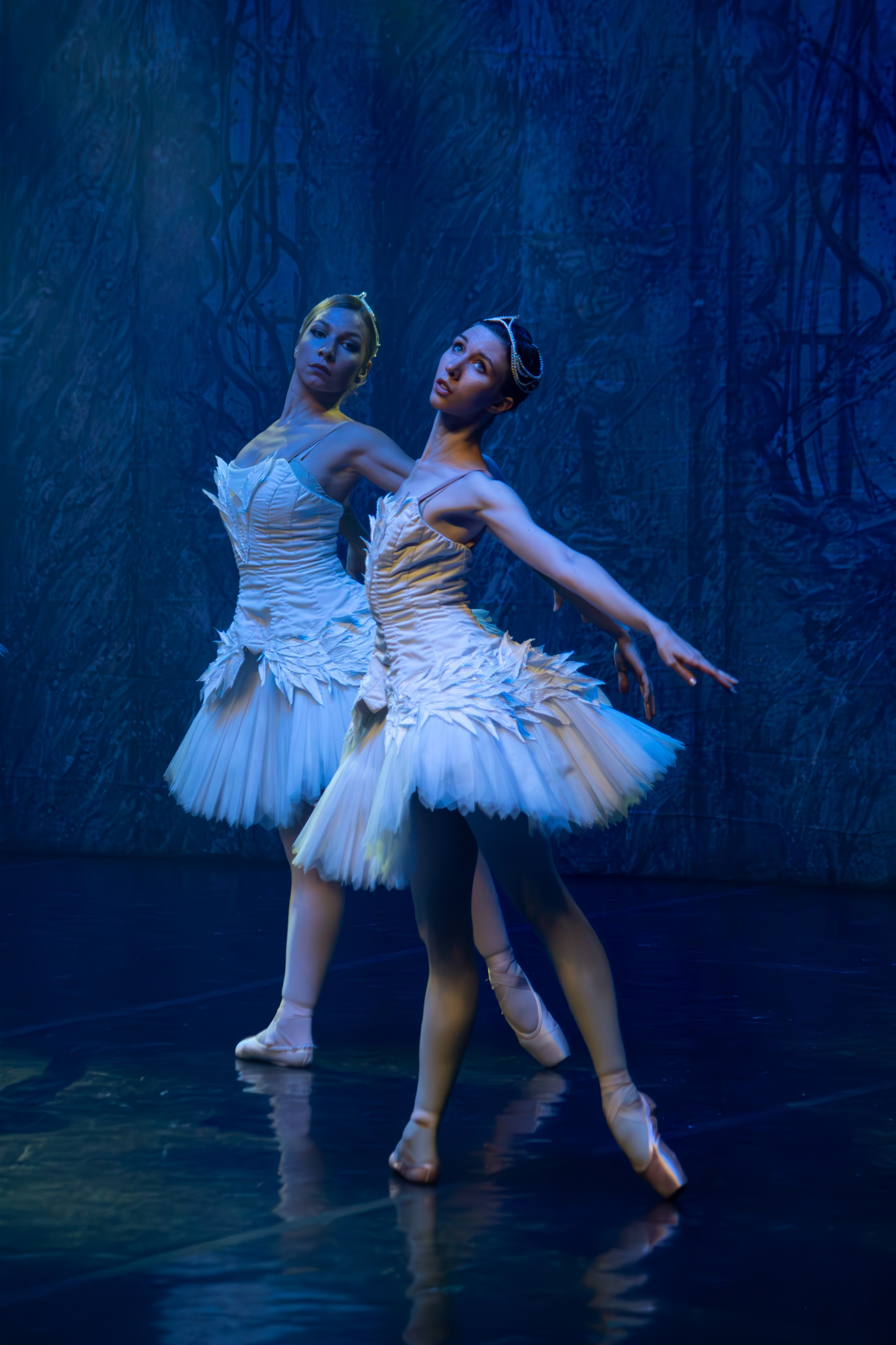 Лебединое озеро. Имперский русский балет. Фотограф в Нижнем Новгороде Екатерина Хисматулина