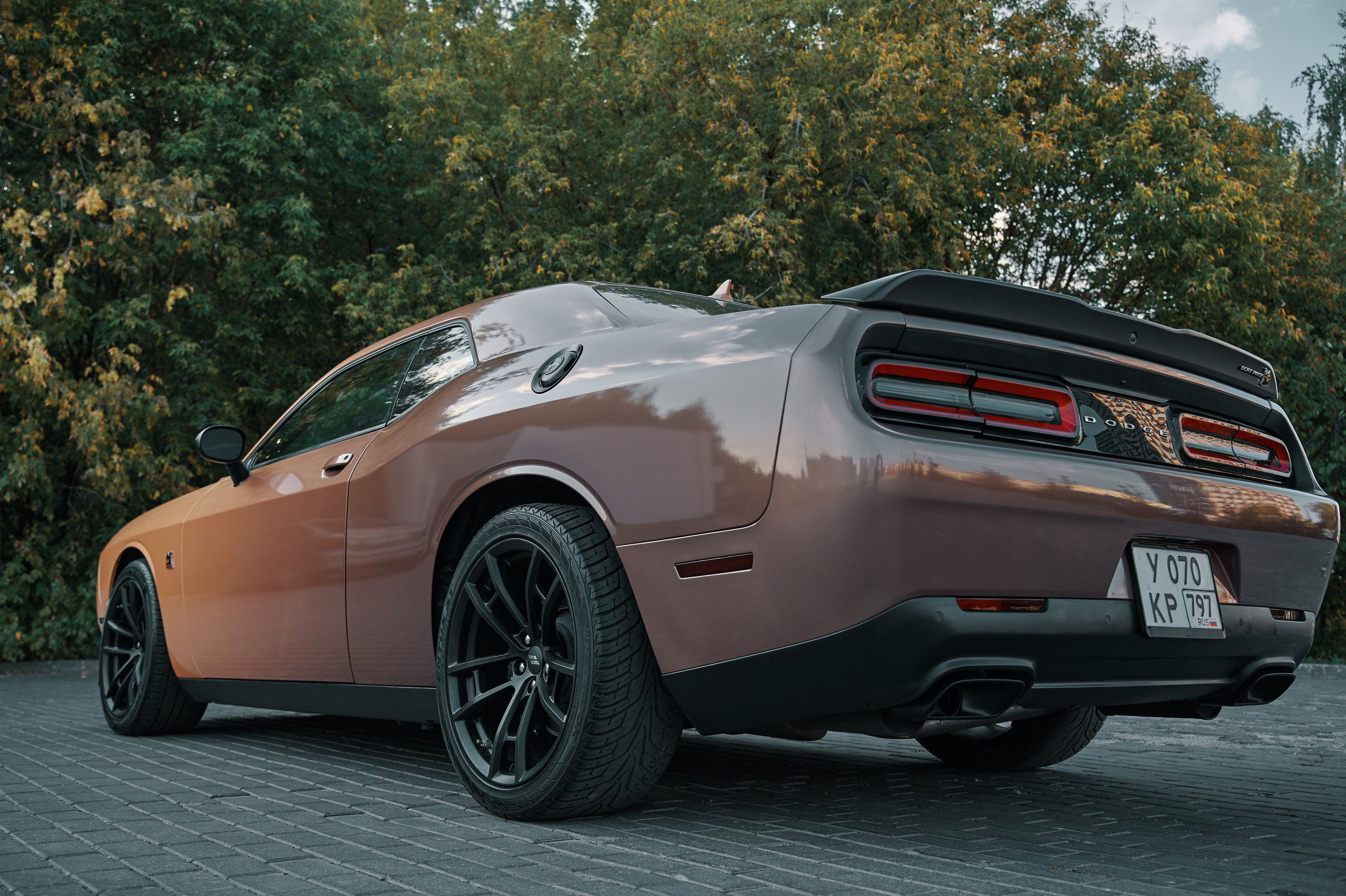 Винилография на Dodge Challenger. Студия дизайна и оклейки авто Barmaley Design