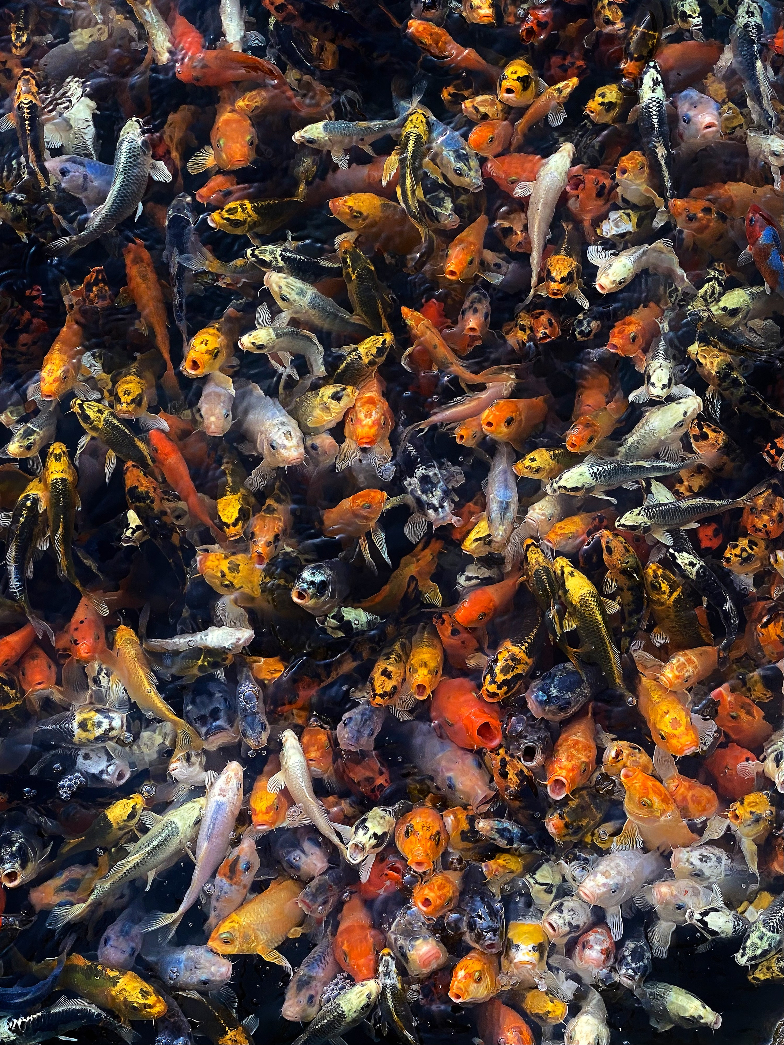 Работы вне серий — Сафонов Владислав. Сафонов Владислав, фотохудожник