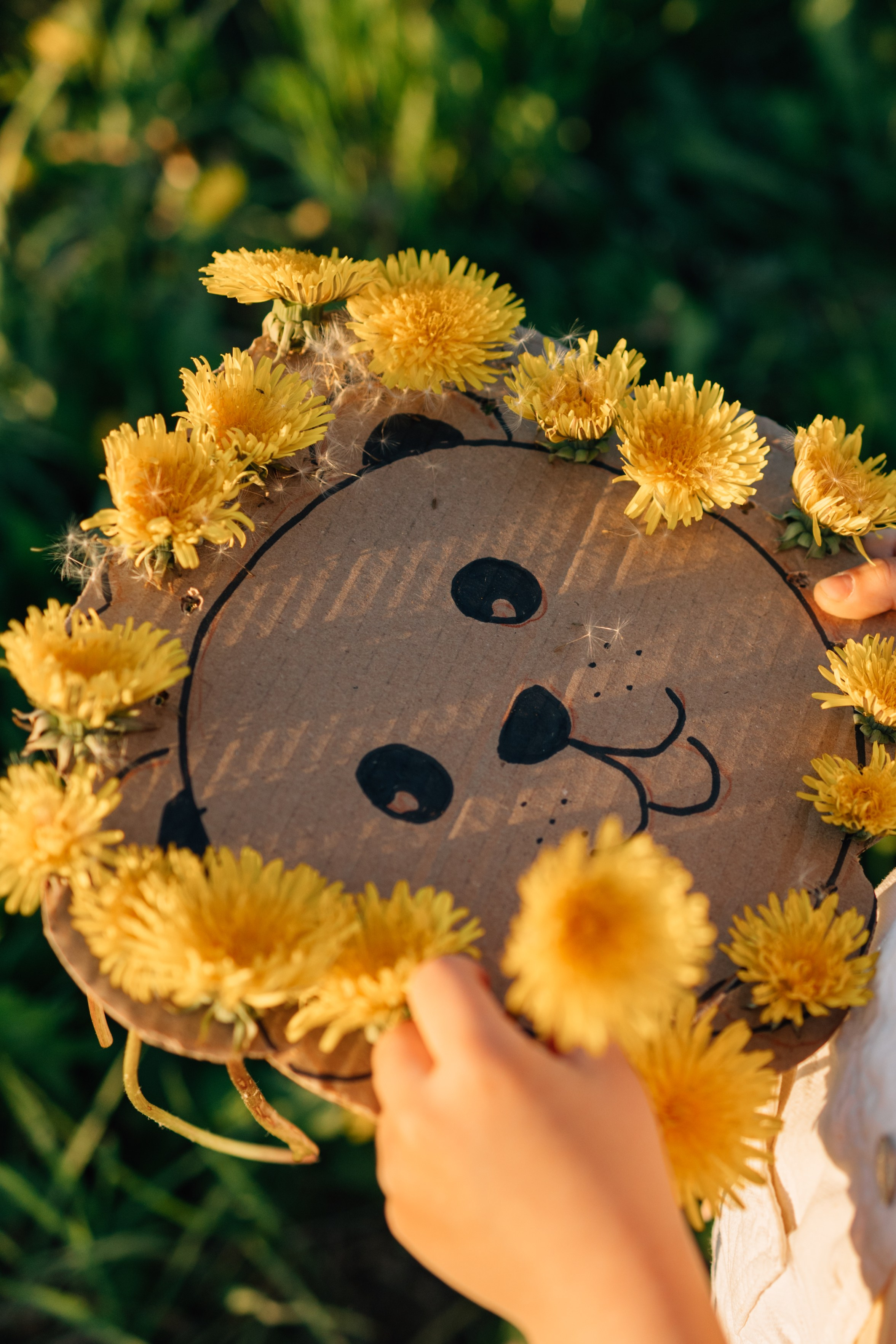 Солнечные львята. Фотограф Москва Светлана Кирюшина