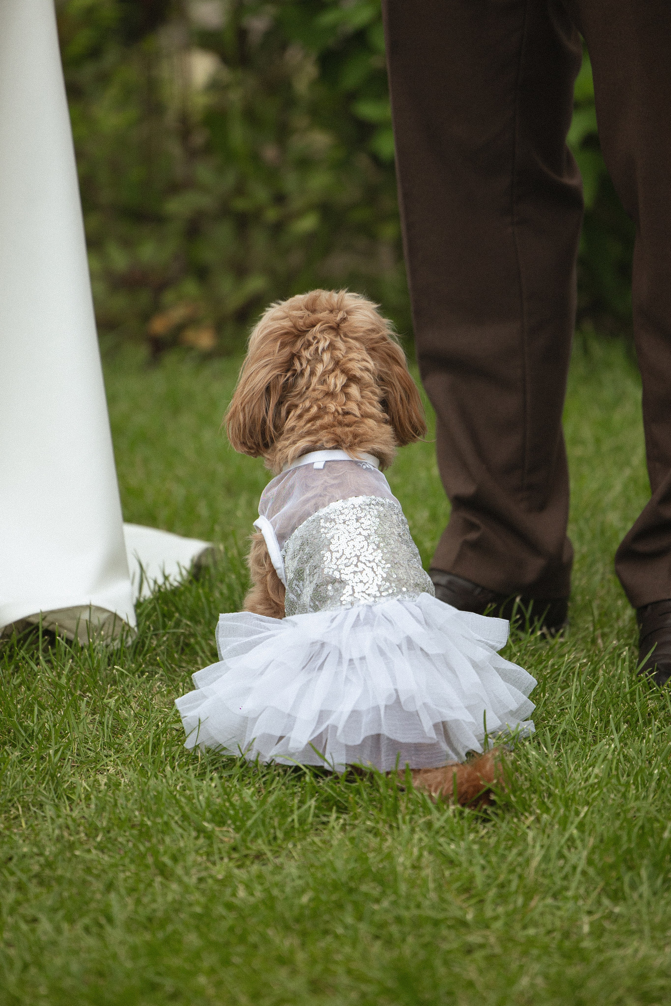 Андрей & Ксения