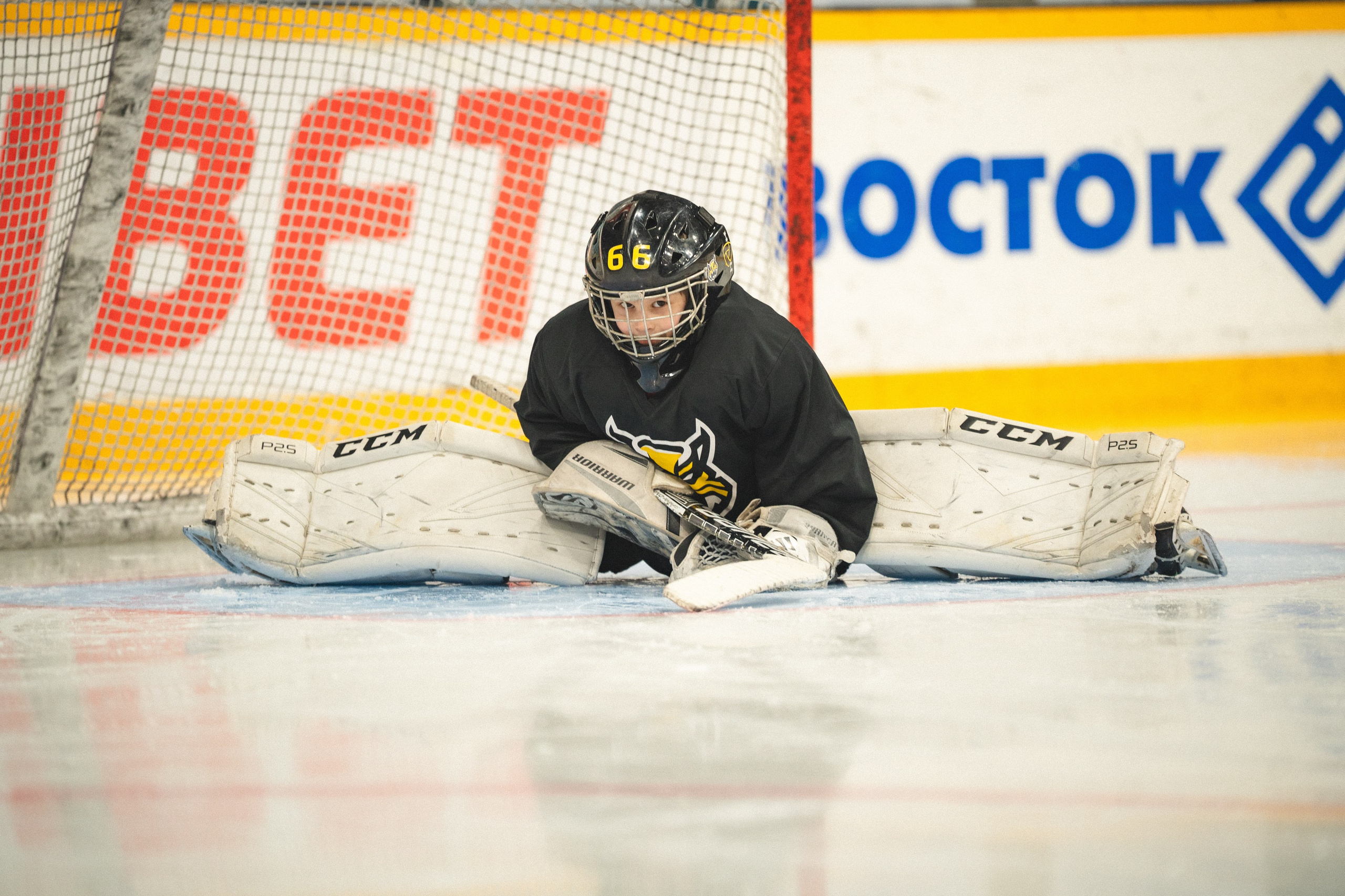 ХК Северсталь (младшая группа). Череповец. Zekons. Фото, видео, нейросети