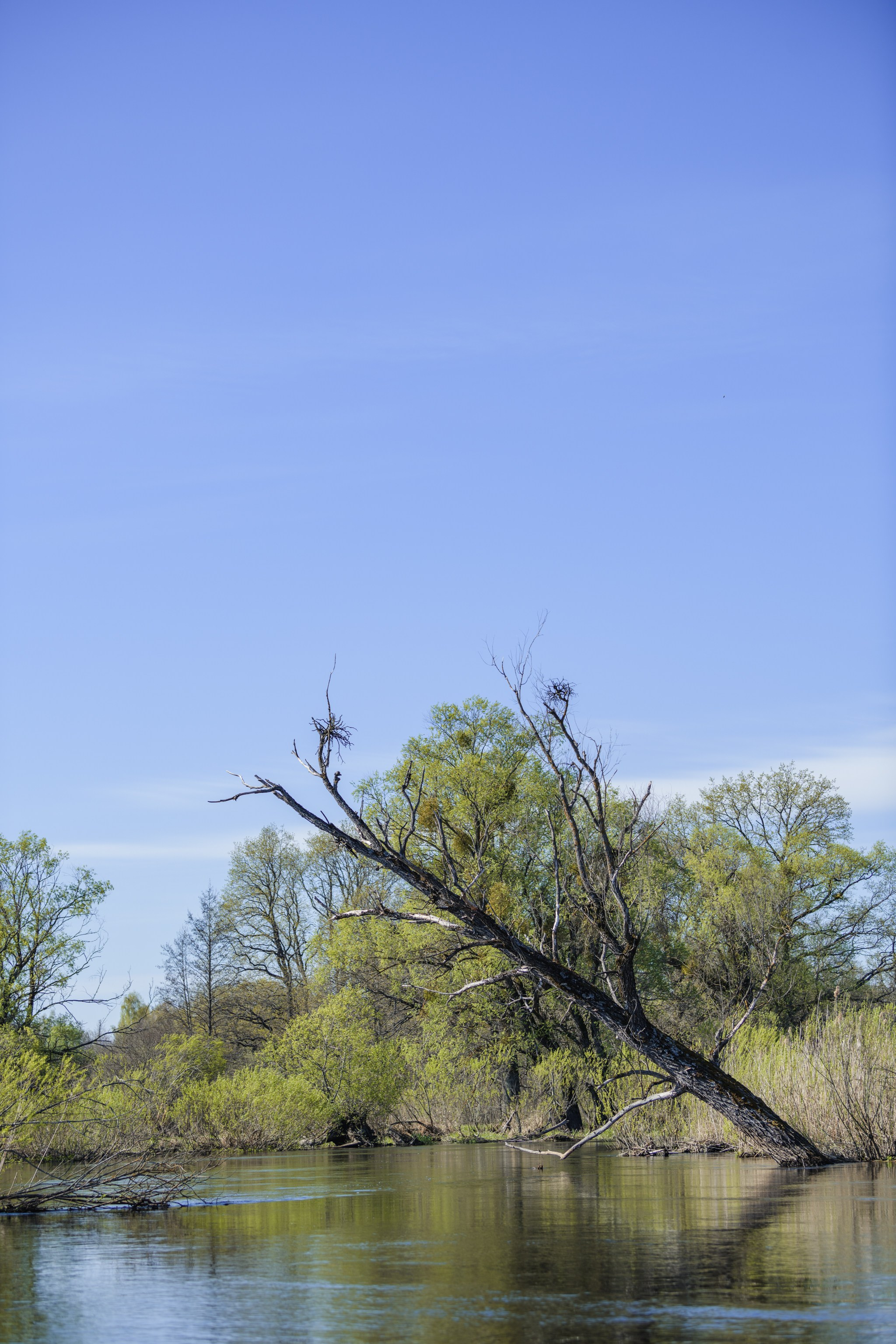 Водный поход 1-й кс по реке Случь. Репортажный фотограф Владимир Беляй