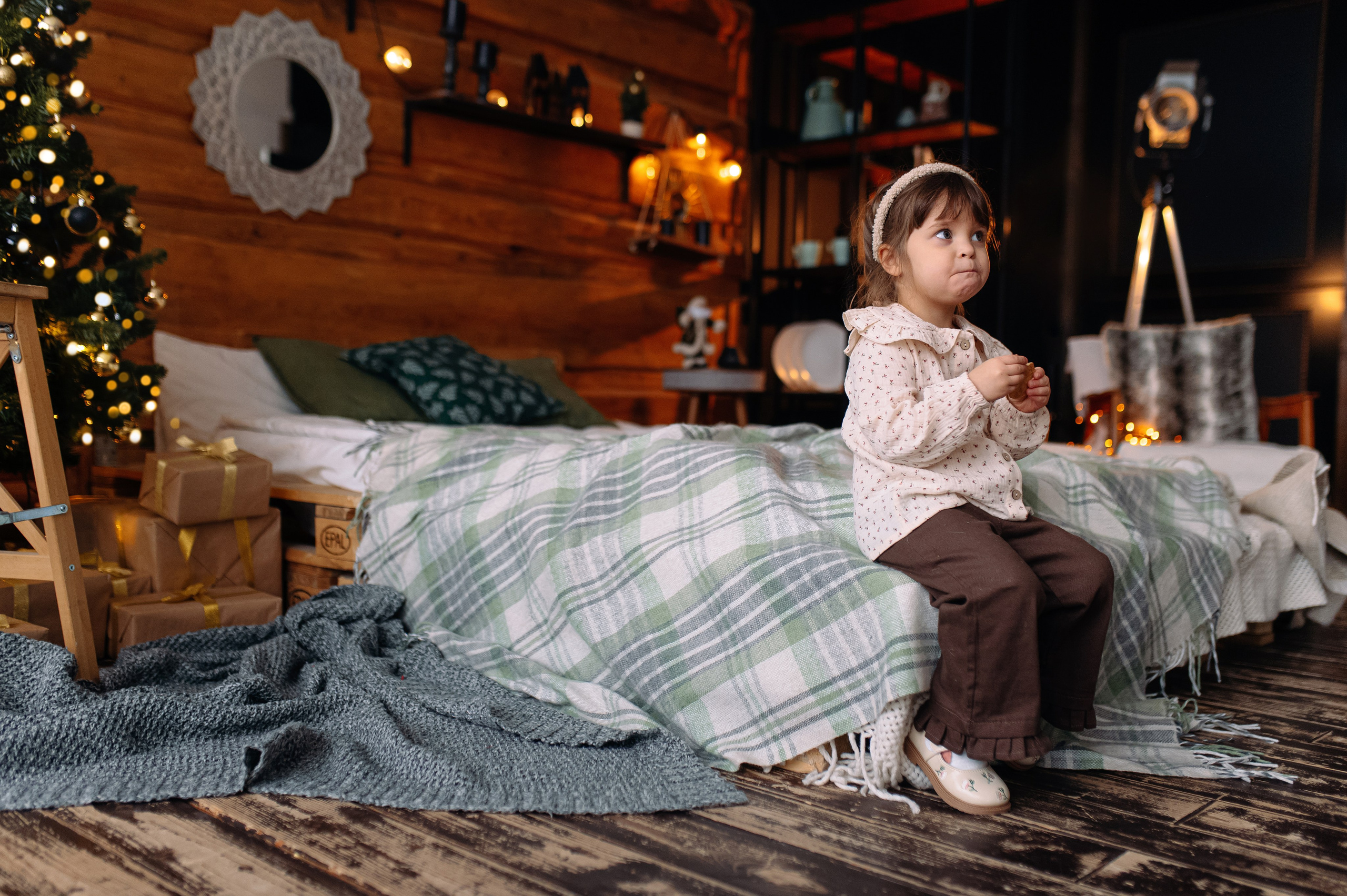 СКОРО НОВЫЙ ГОД. Шашкова Вероника / Свадебный и семейный фотограф Москва и Ярославль