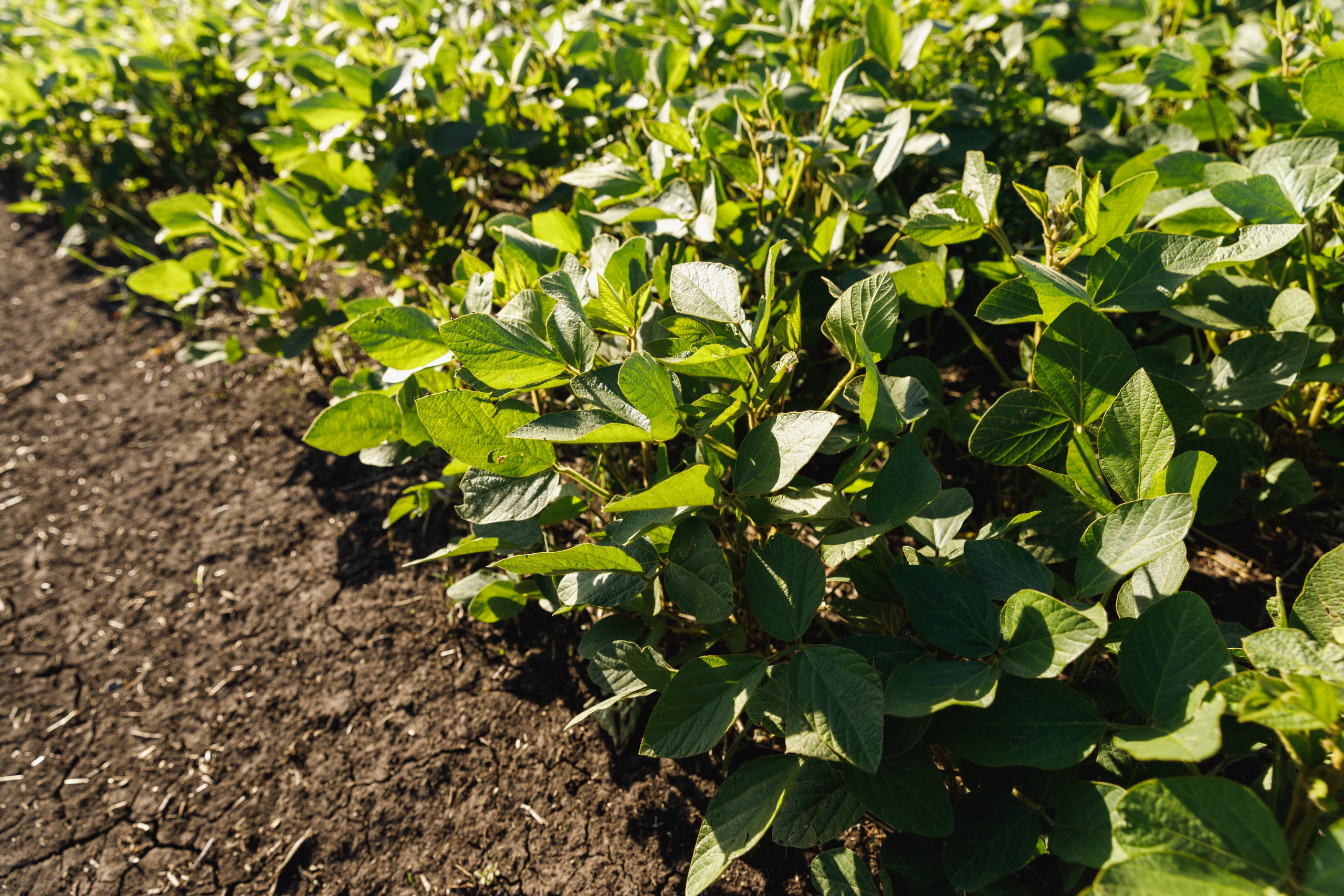 BASF. Конференция 2024. Фотограф Липецк. Фотограф в Липецке Татьяна Минаева. Портретный фотограф Липецк. Свадебный фотограф Липецк. Бизнес фотограф Липецк