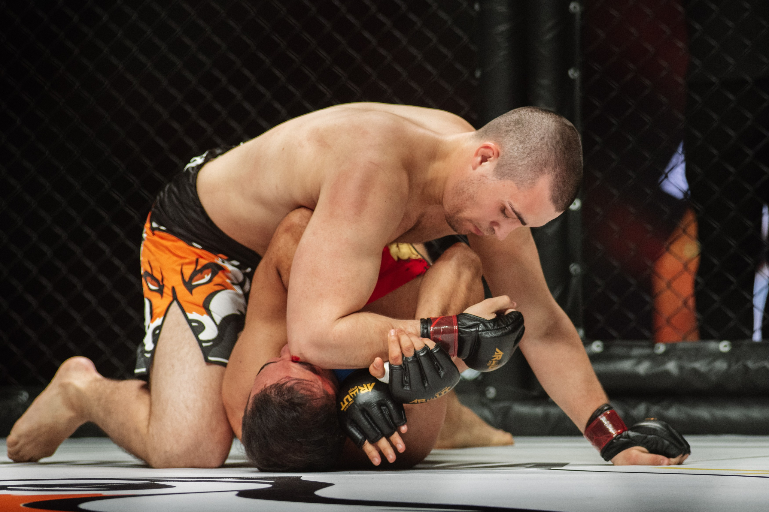 Miroslava Fight