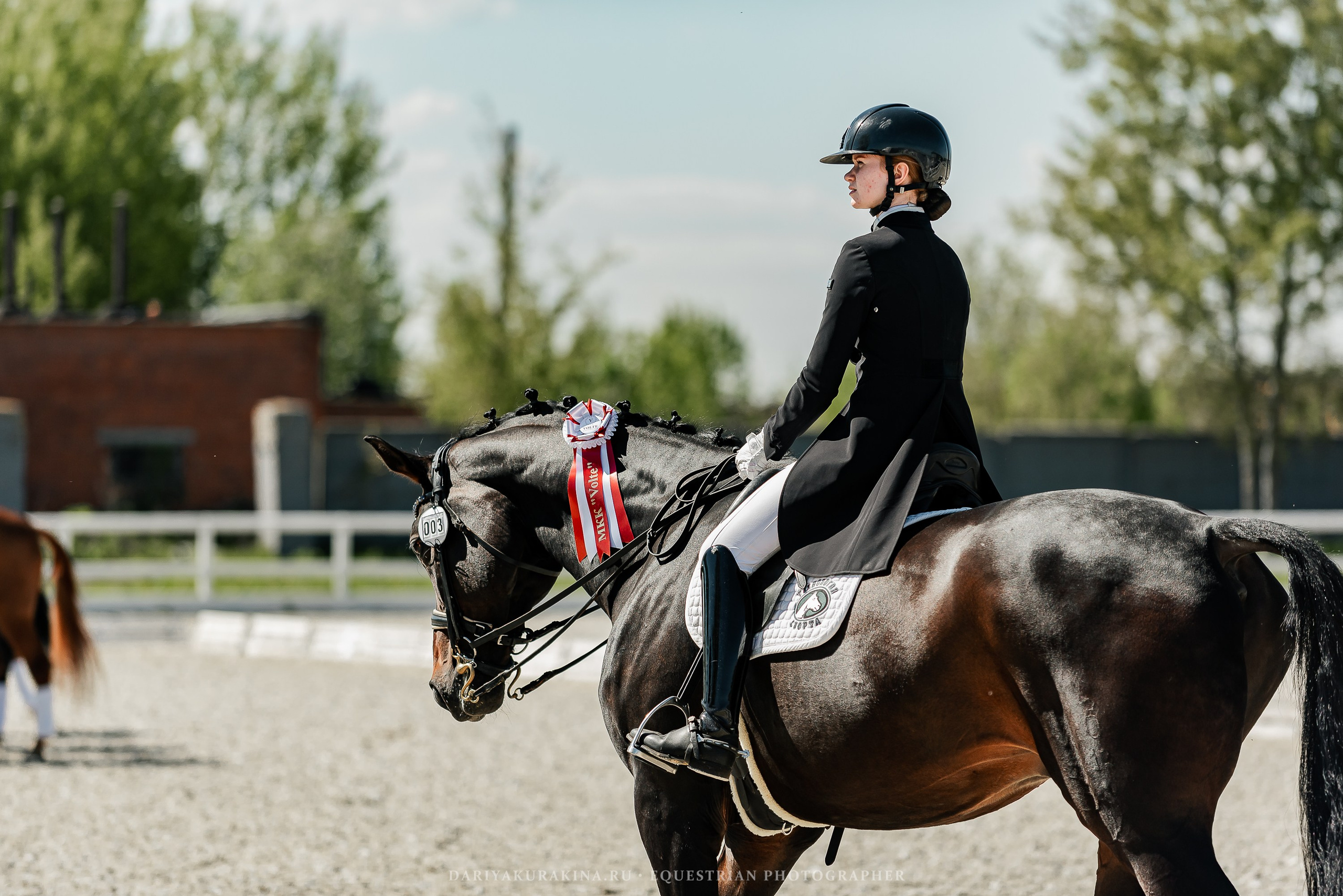 РЕПОРТАЖ МКК ВОЛЬТ «LA TULIPS». Конный фотограф Куракина Дарья • Фотосессии с лошадьми