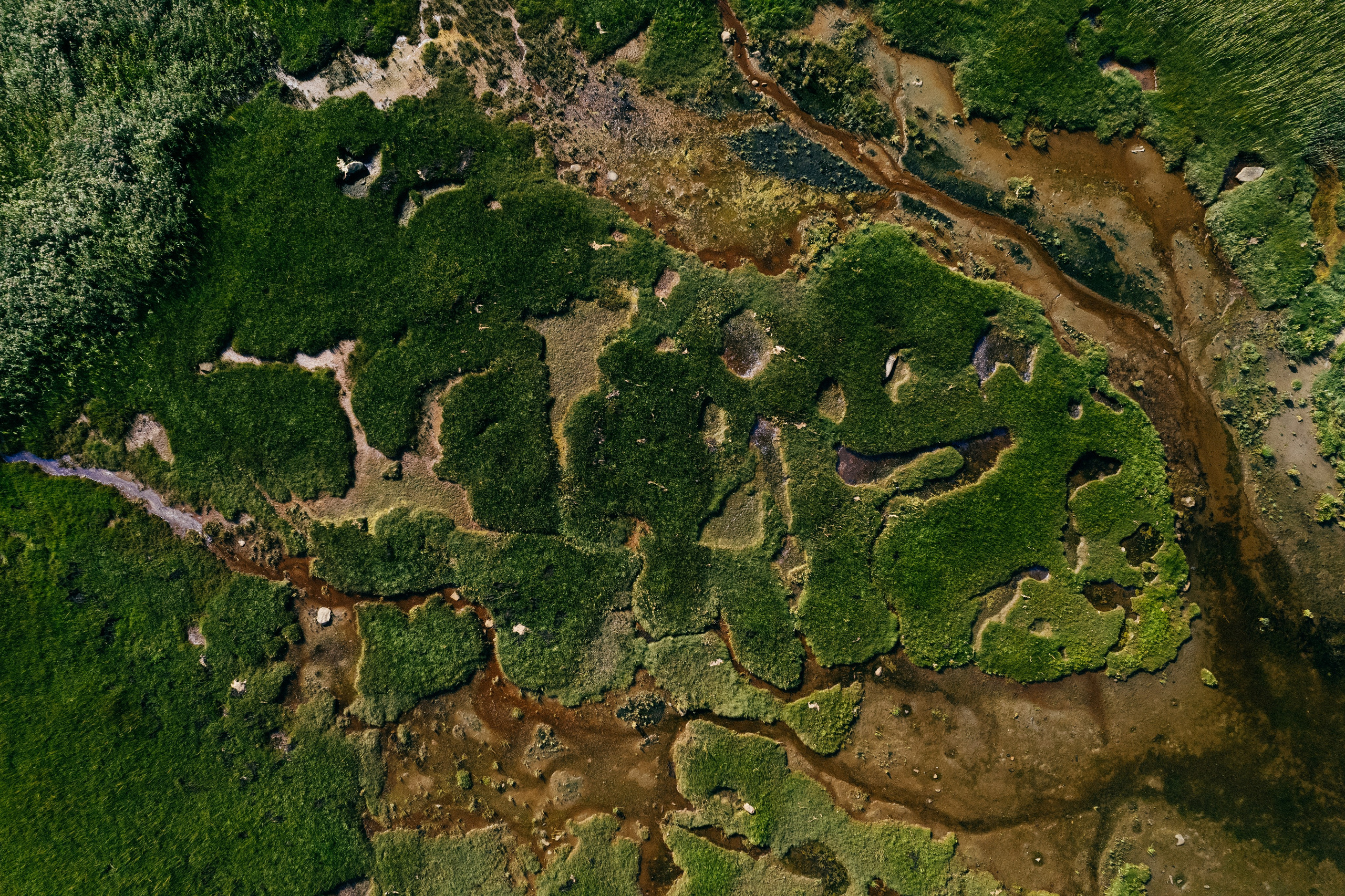 ЭТНОПАРК ГЕОГРАФИКА. Создание контента | Фото | Видеосъемка | Александр Ярков