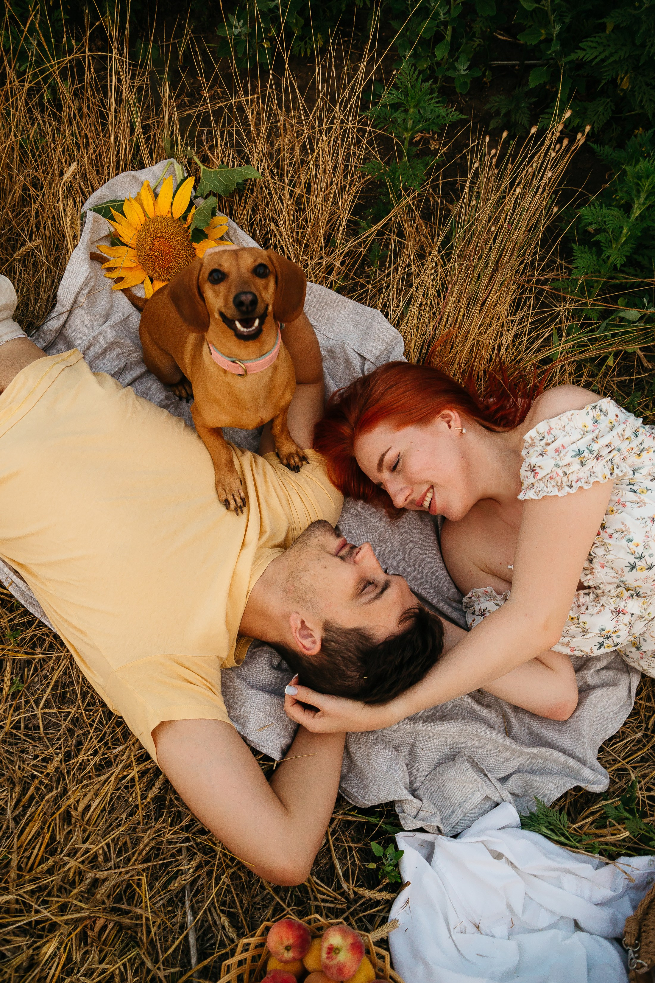 Подсолнухи. Свадебный и семейный фотограф в Краснодаре Илонна Ковалева