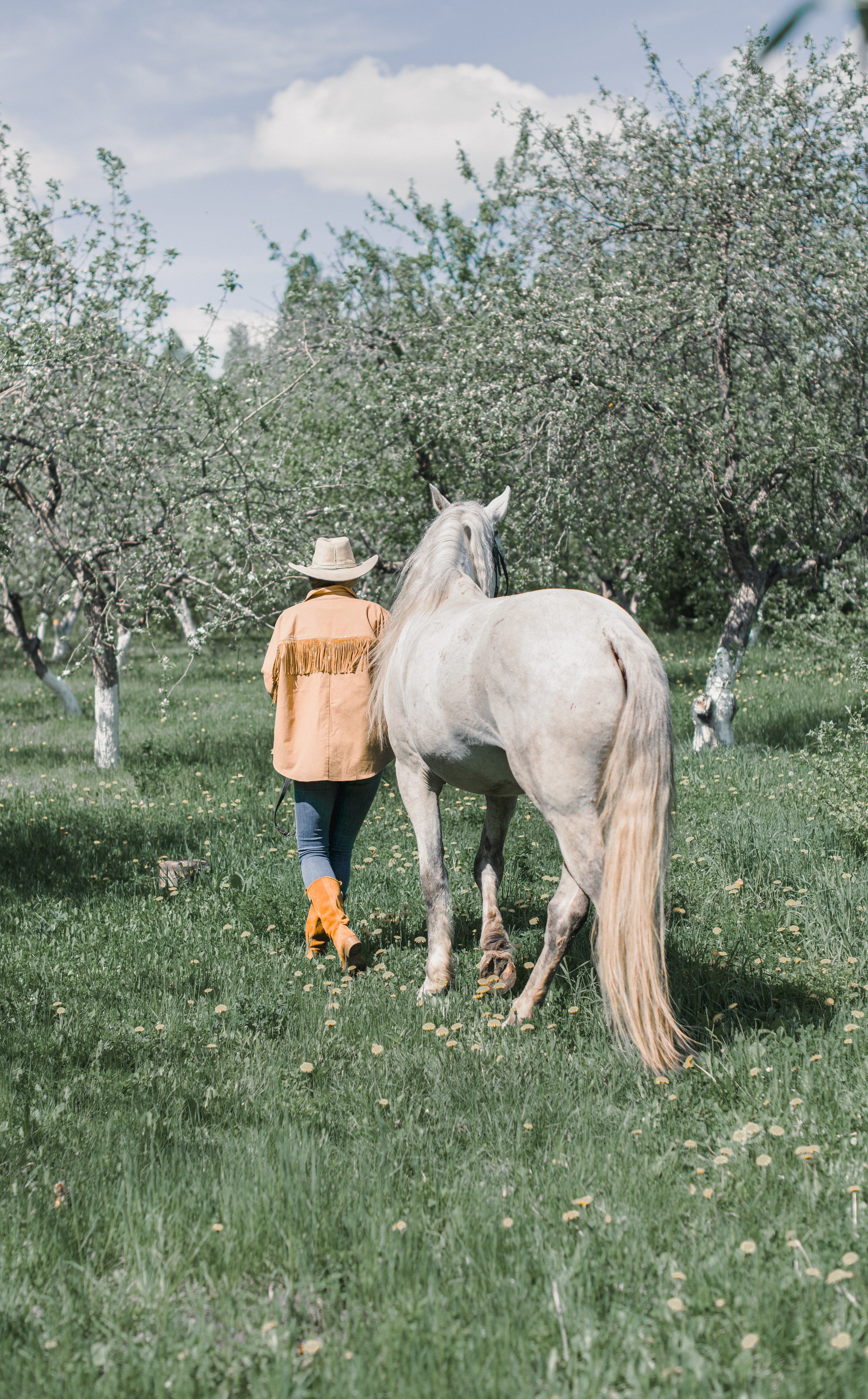 Алёна и Орлик. Конный фотограф в Саратове Юлия Иванова